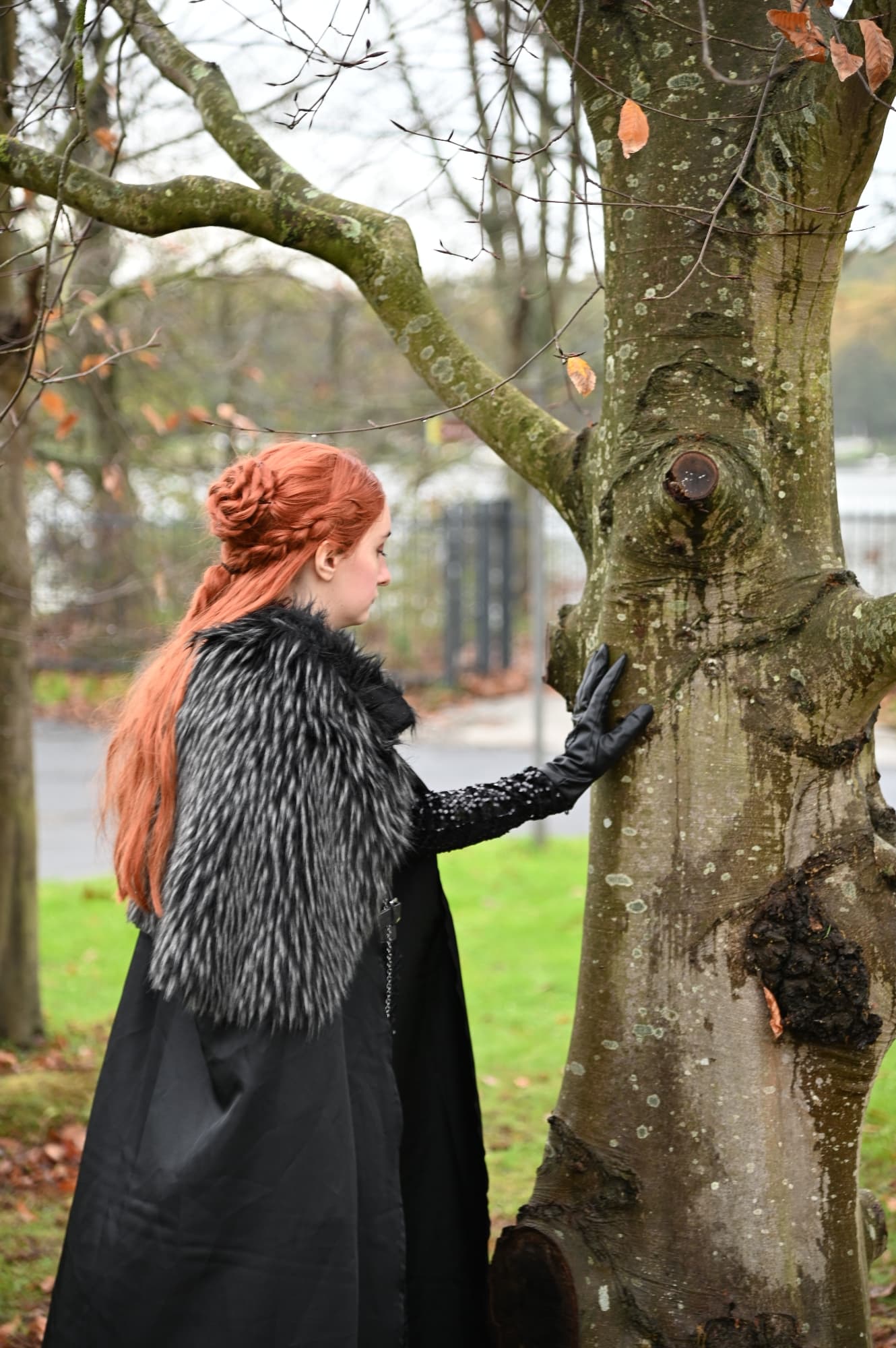 Sansa Stark - Photo 11