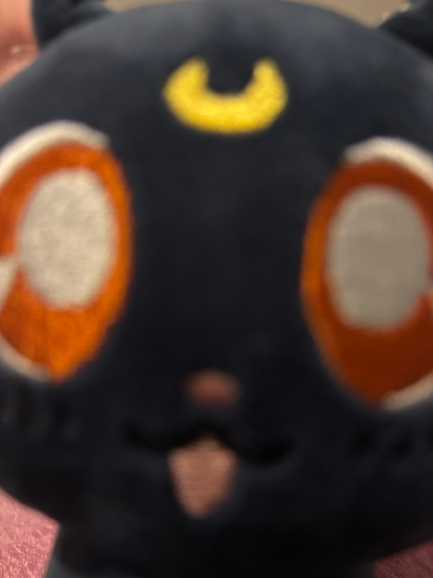 Chat (Sailor moon) - Photo 7