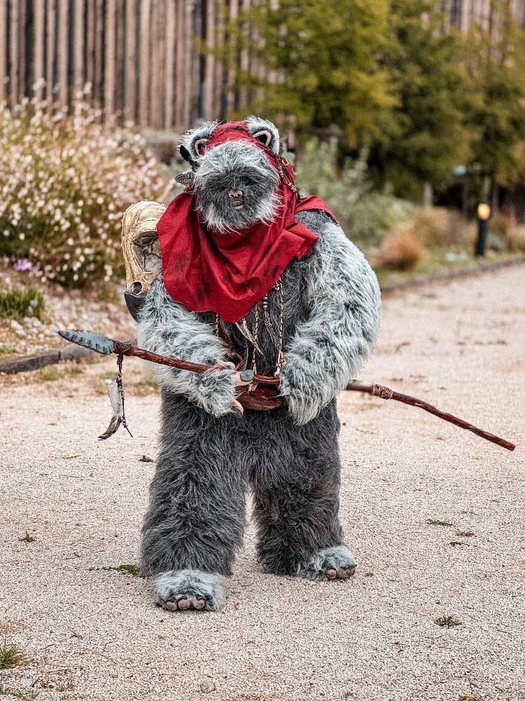 Un Ewok À Vitrolles - Photo 9