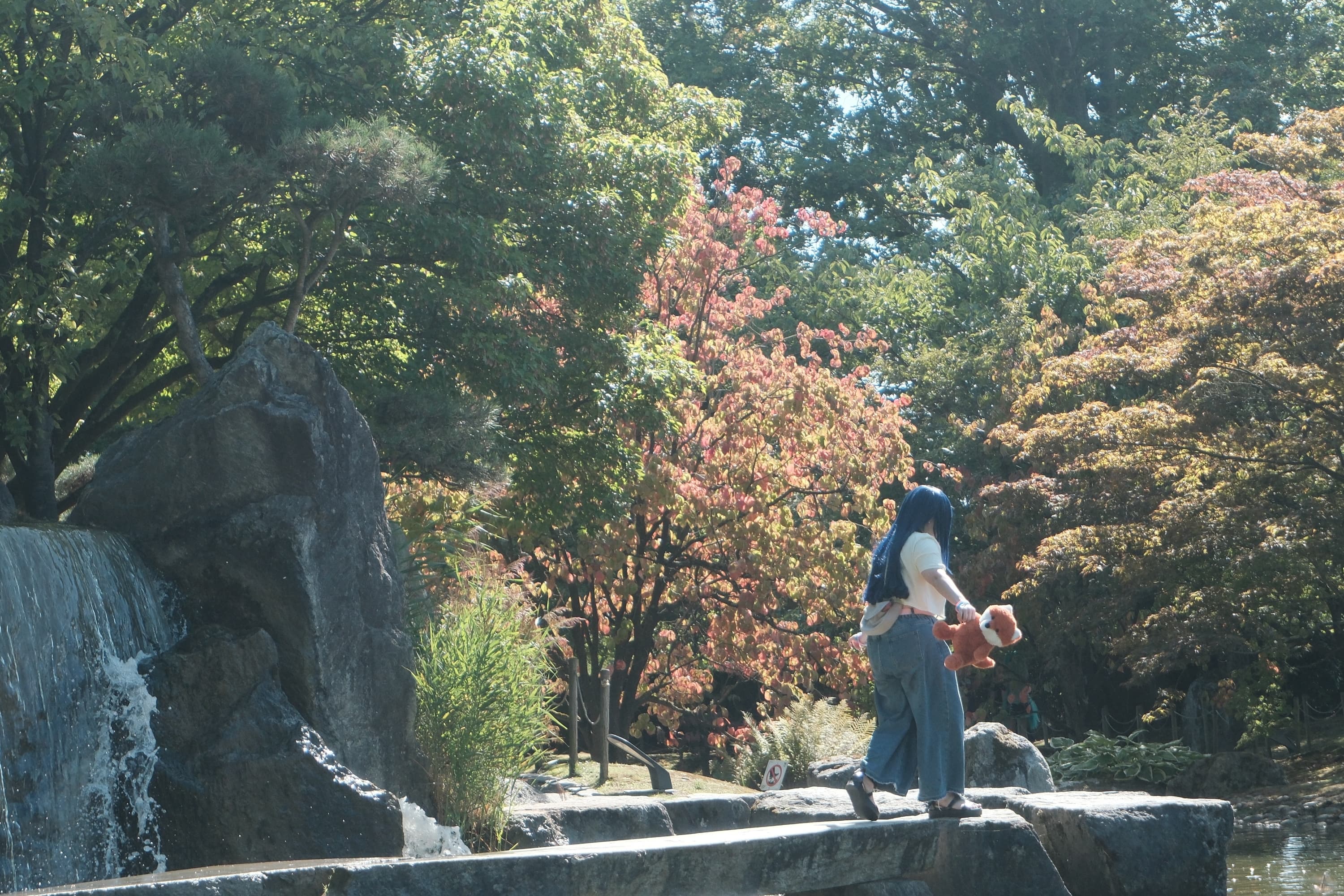 Himawari  - Photo 42