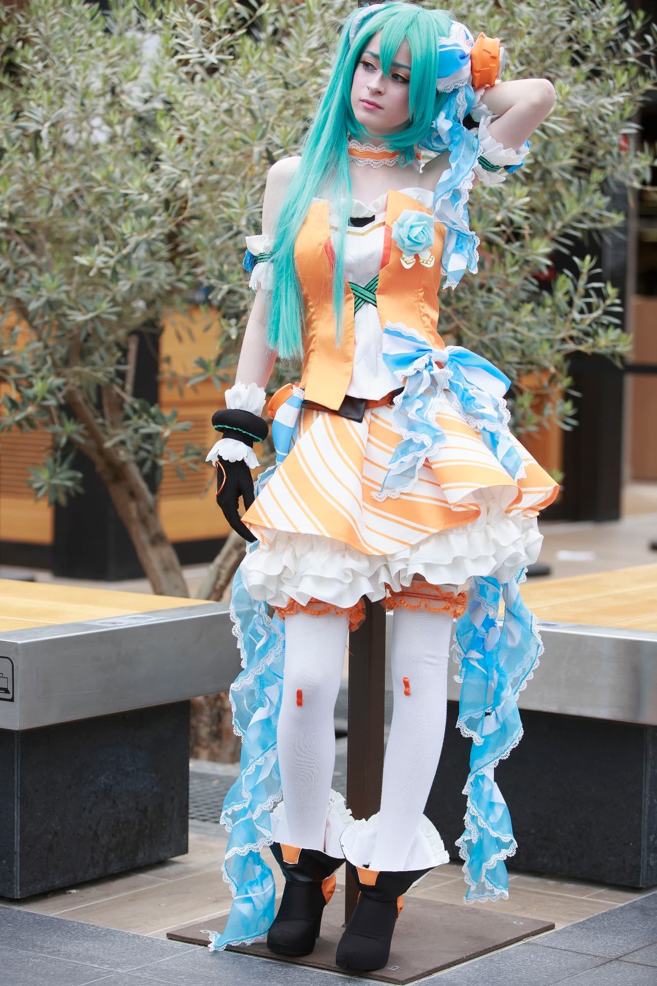 Miku Orange Blossom - Photo 3