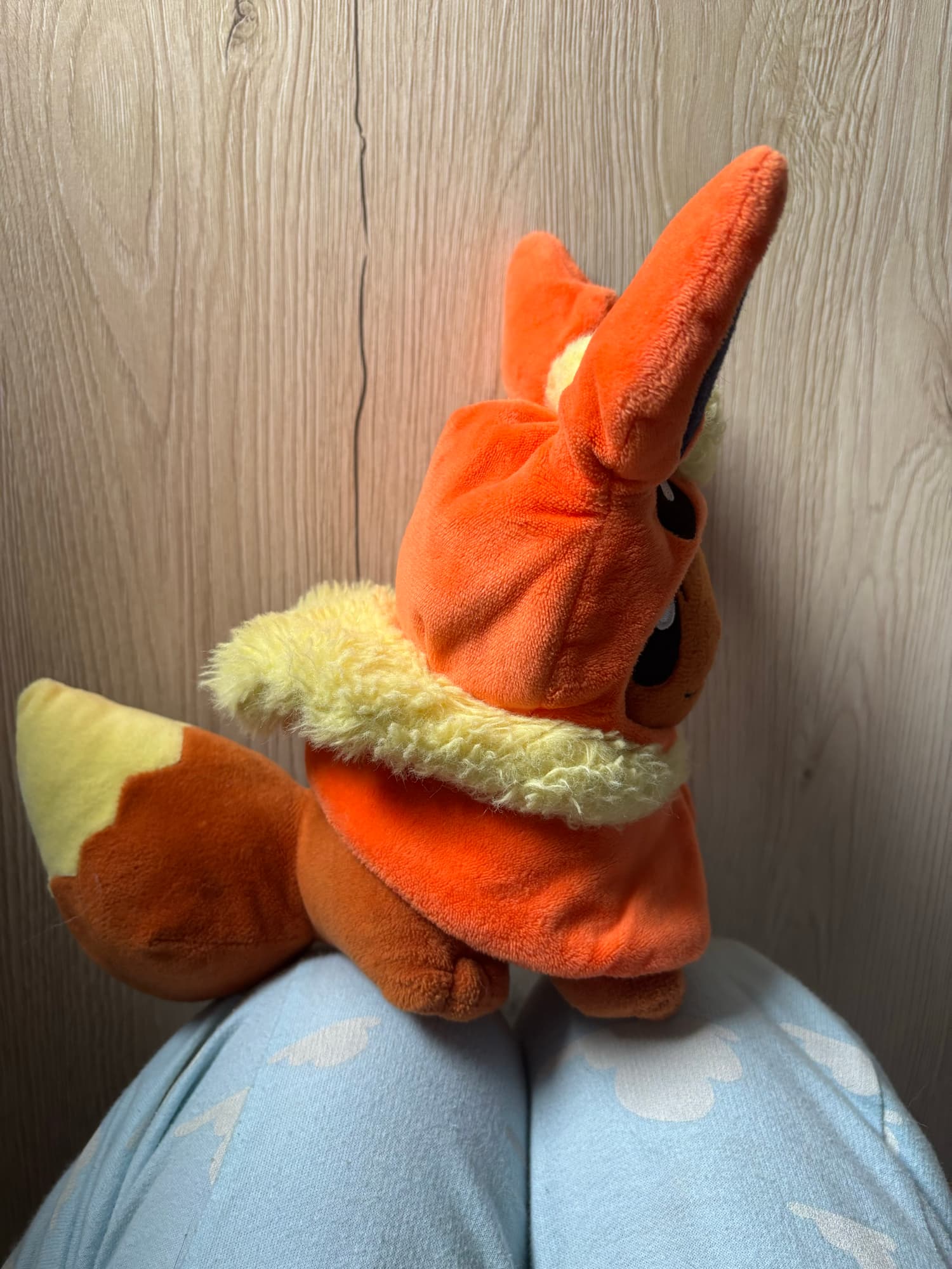 Evoli en Pyroli  - Photo 15