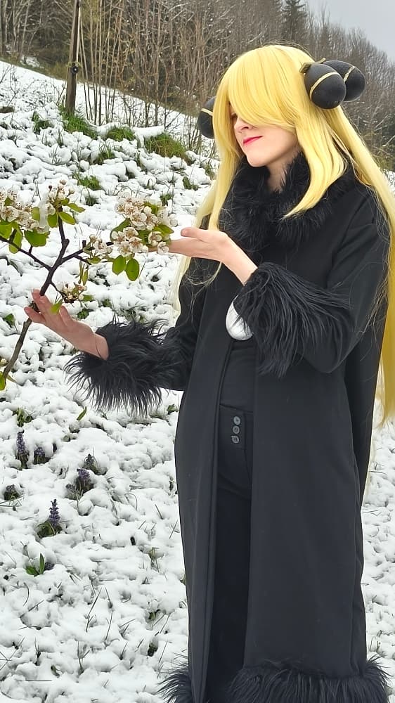 Cynthia (neige) - Photo 7