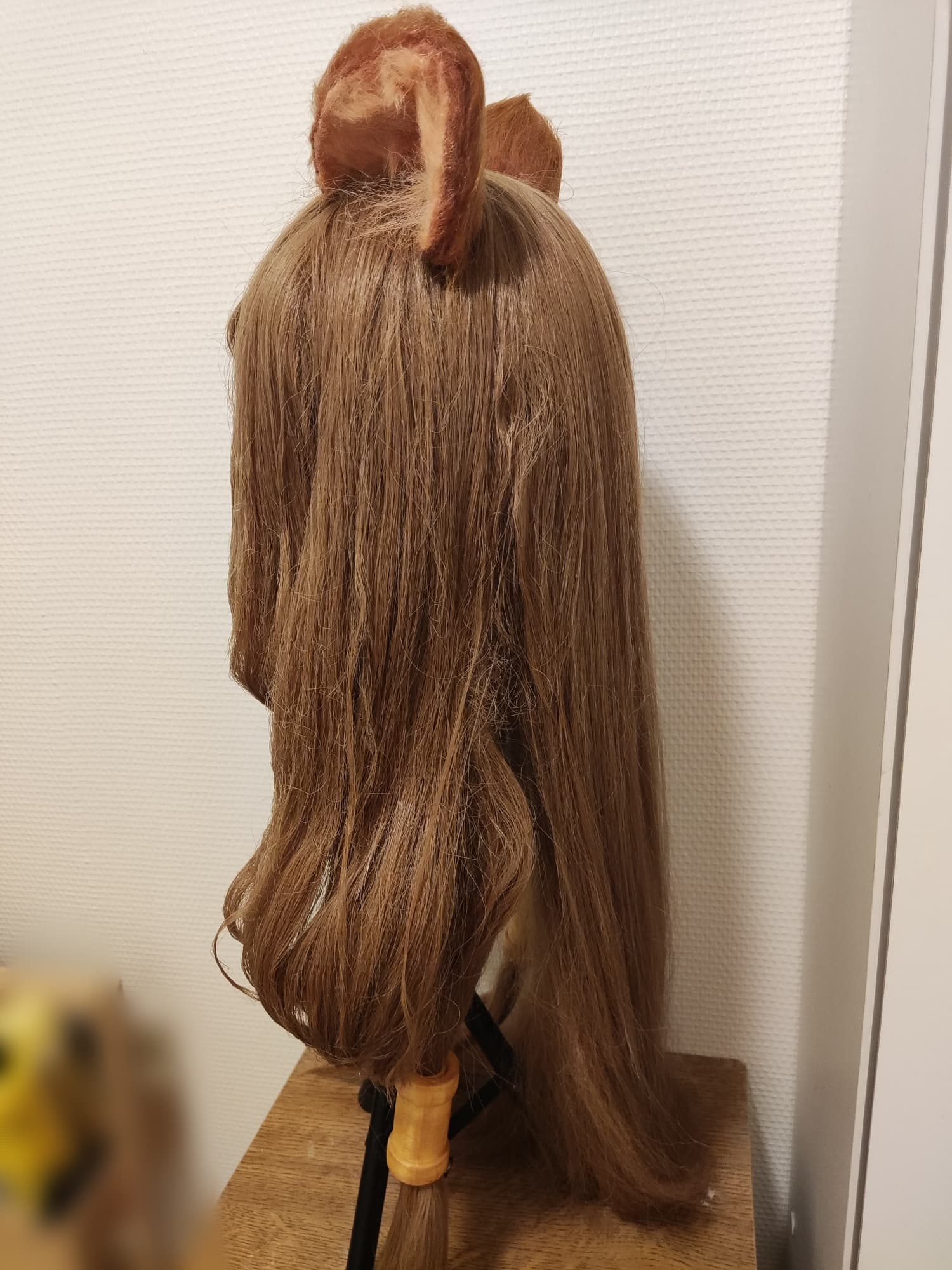 Wig Raphtalia  - Photo 11