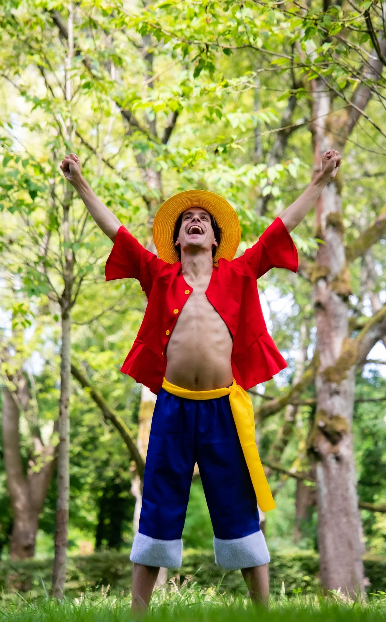 Monkey D Luffy - Photo 8
