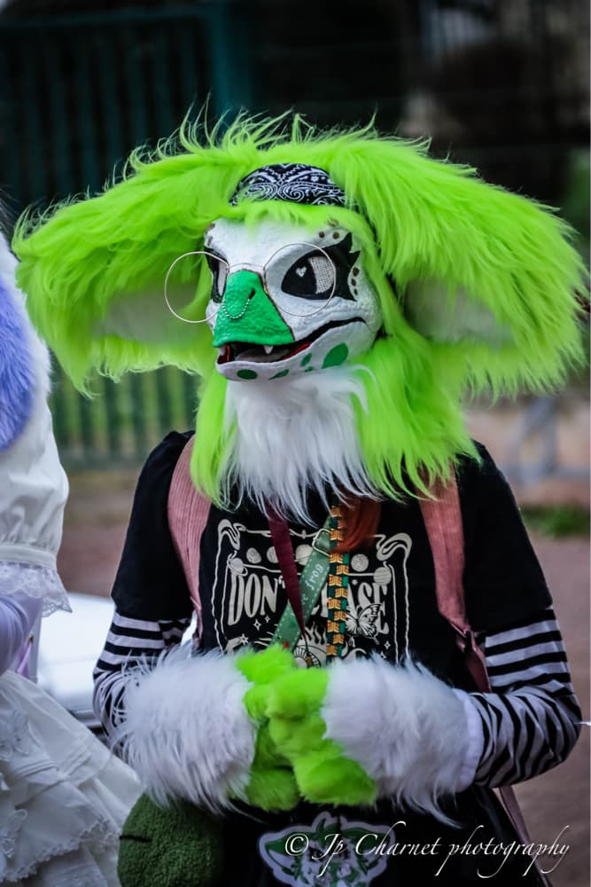 Migennes Collector - Photo 2