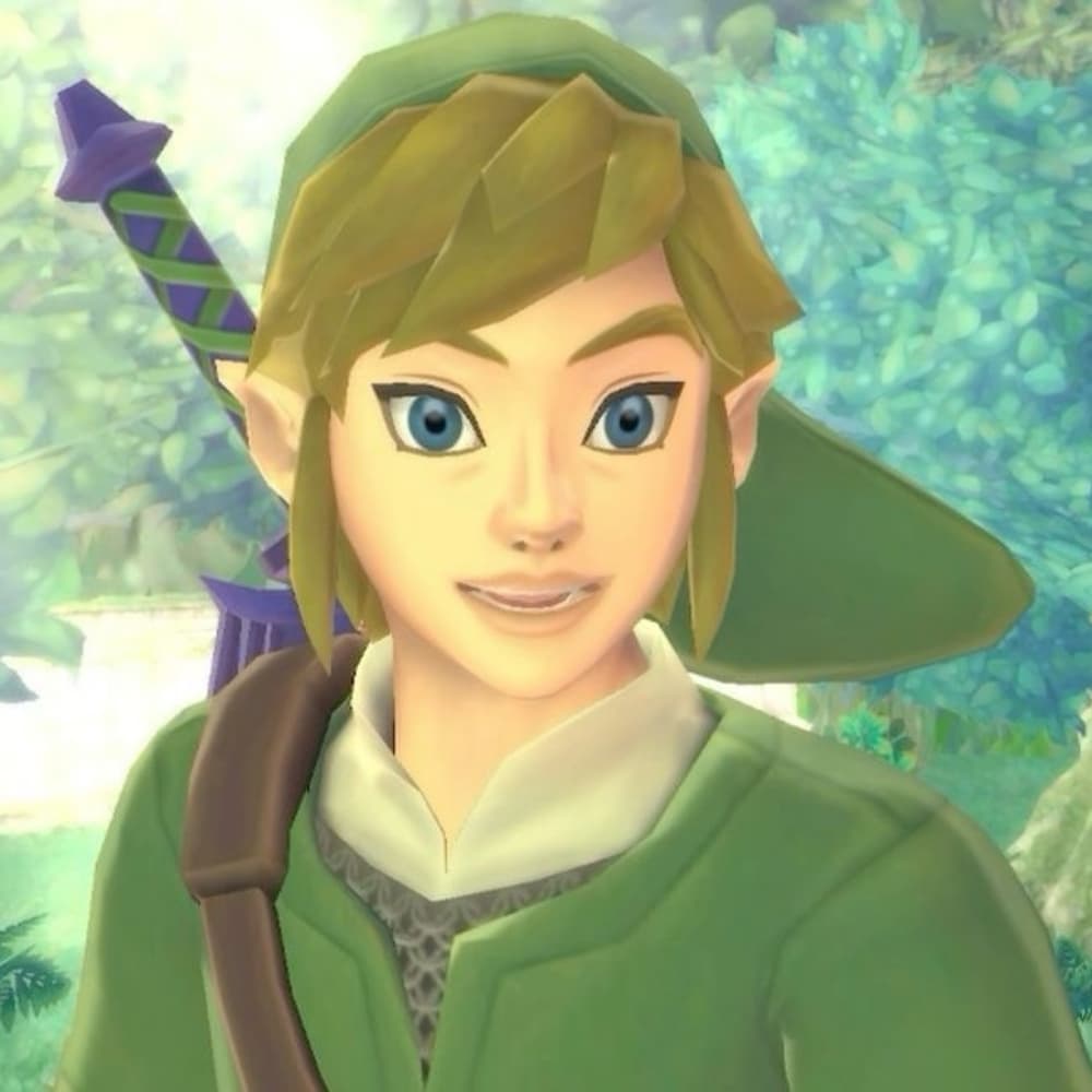 Skyward Sword Link
