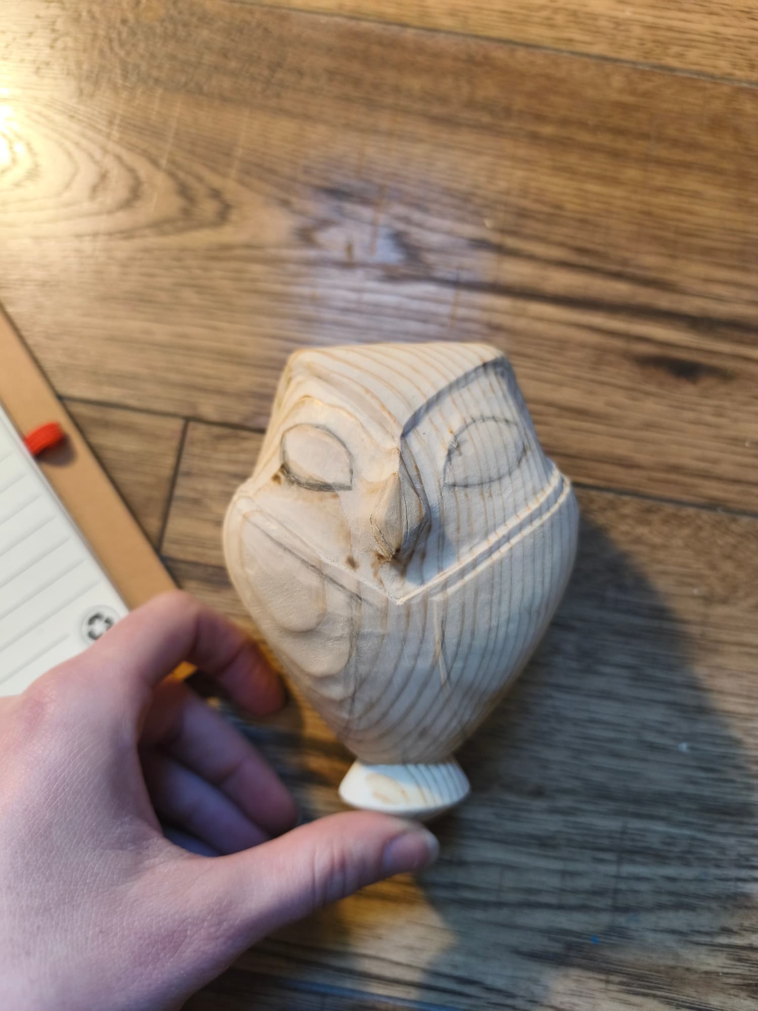 Préparation Edalyn - Photo 12