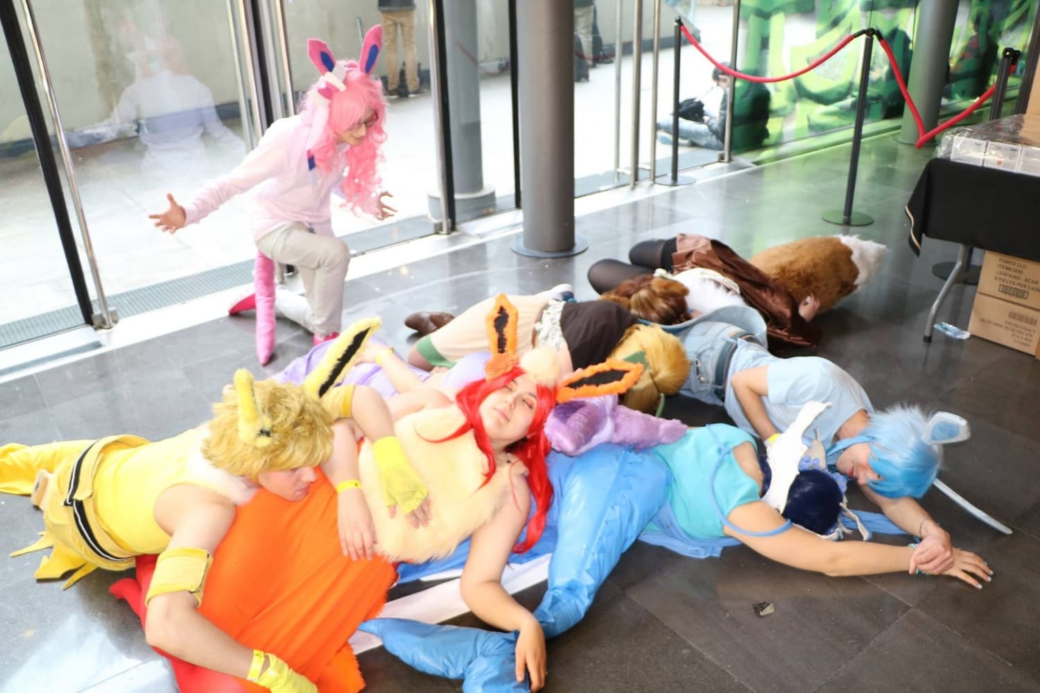 Famille Evoli - Photo 8