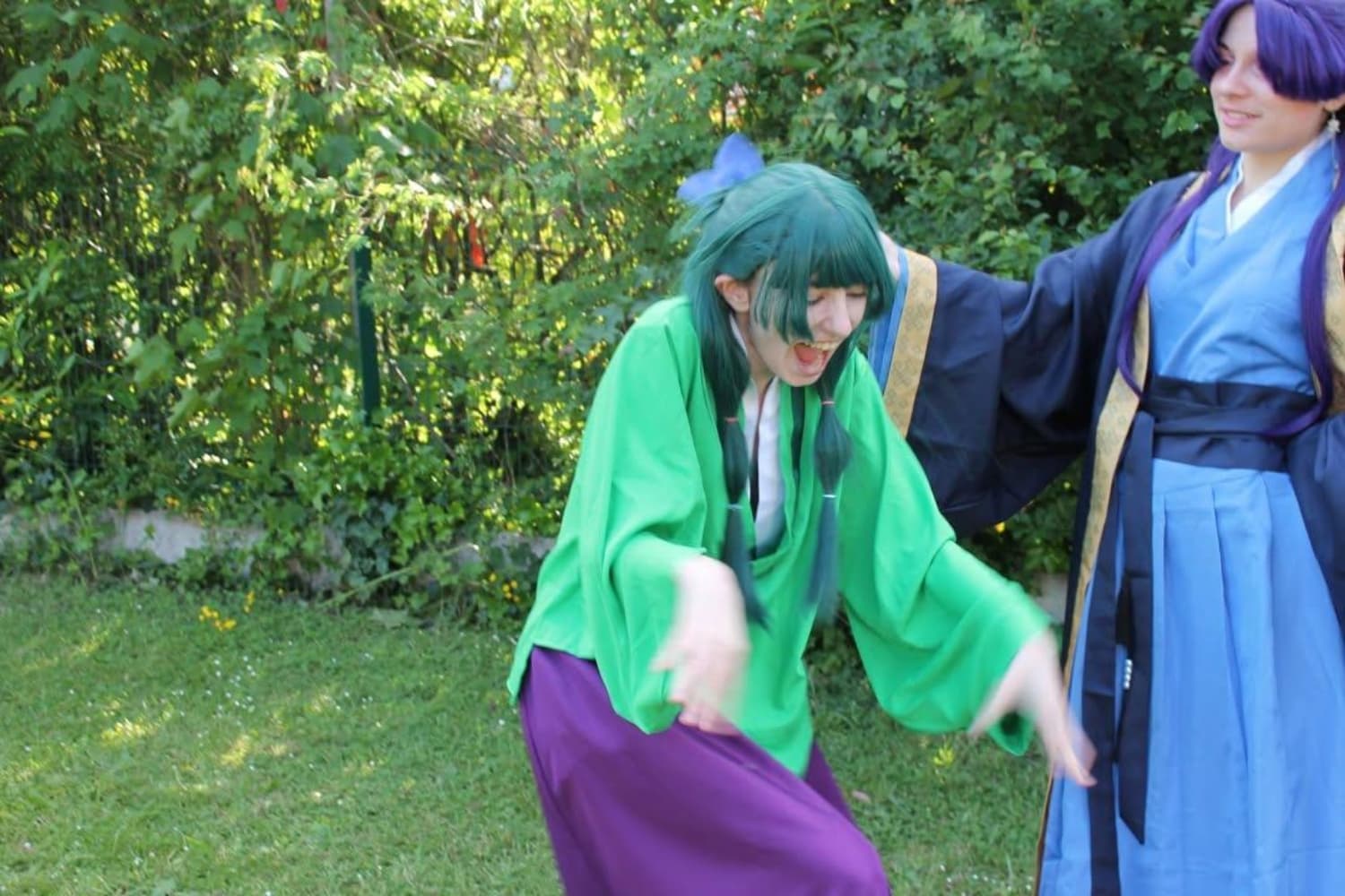 Jinshi maomao GM - Photo 8