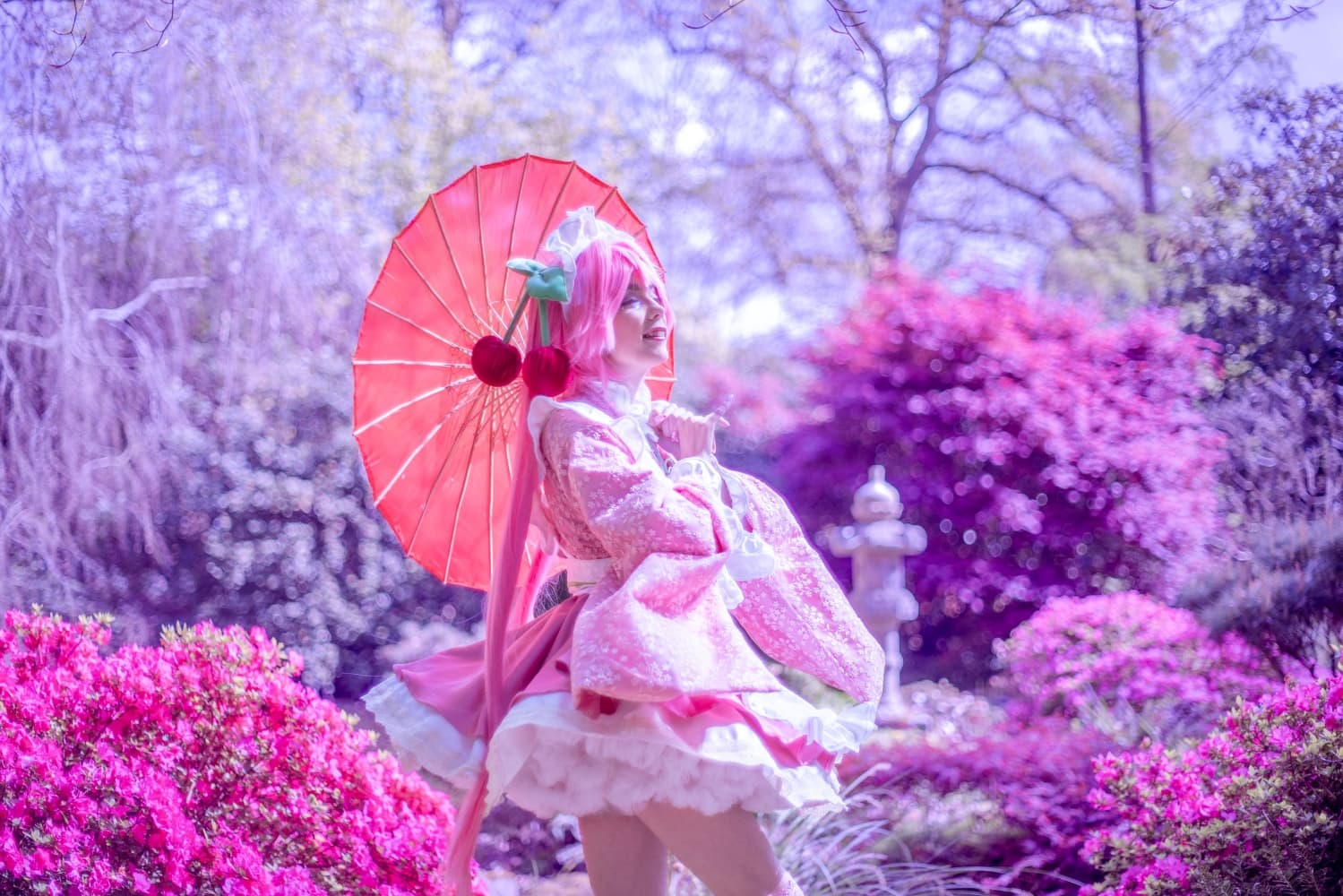 Sakura Miku -Hanami-