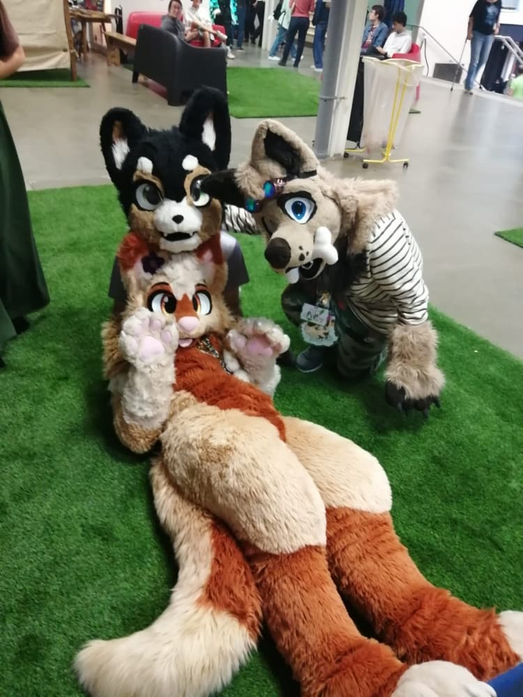 Hashtag festival - Photo 3