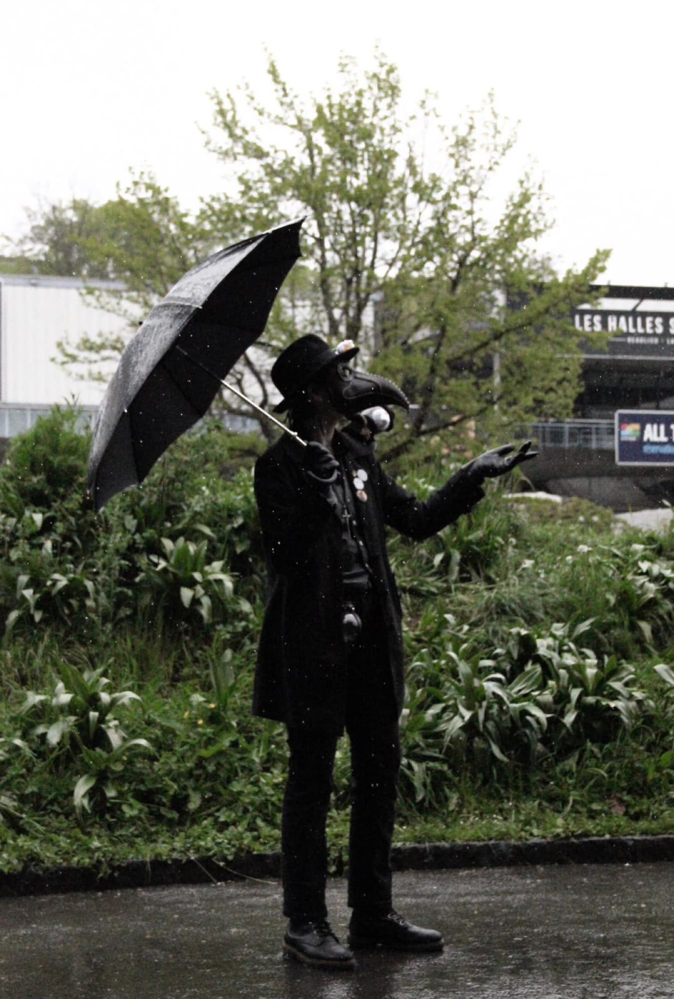 Pesty - polymanga  - Photo 1