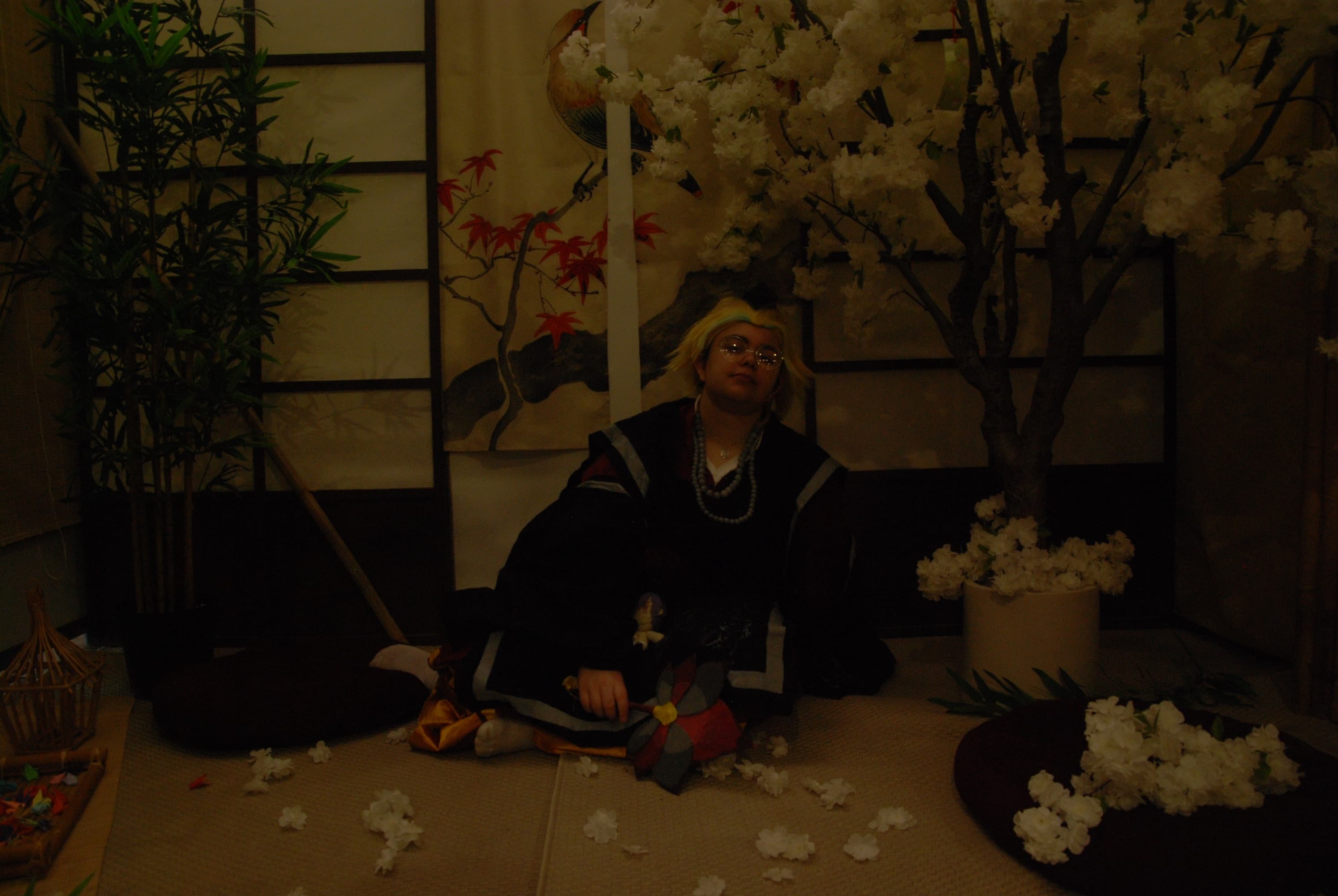 Rindo tengu ver. - Photo 2
