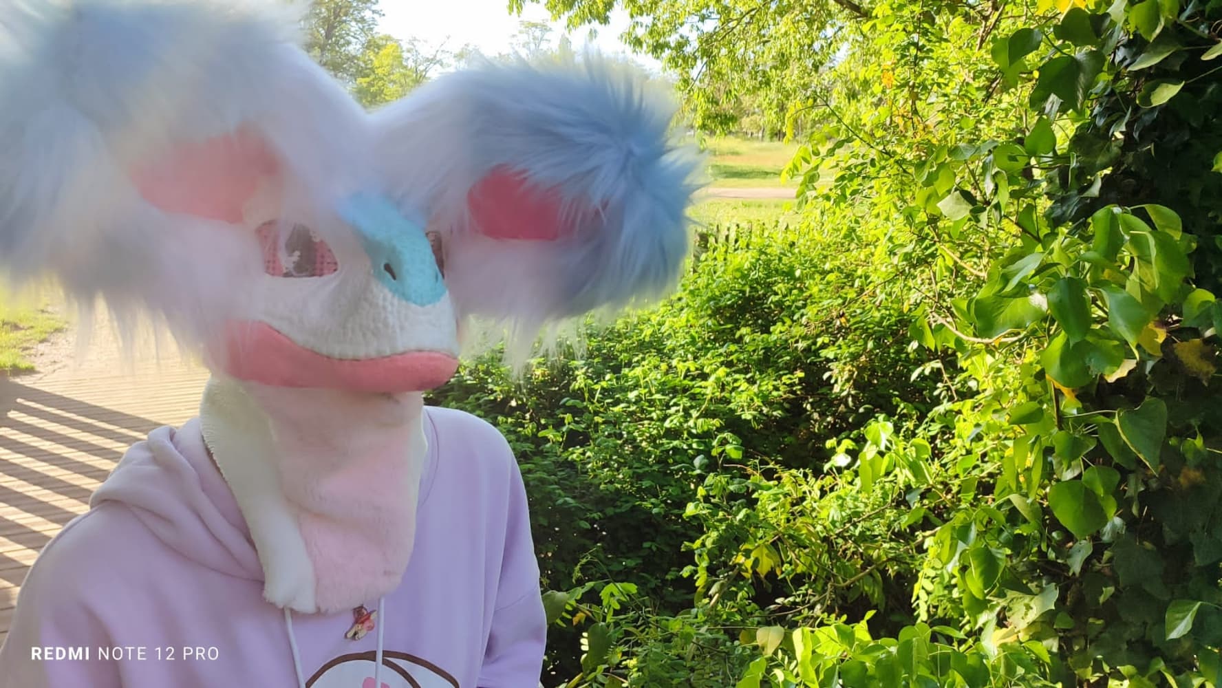 Debut du printemps  - Photo 36