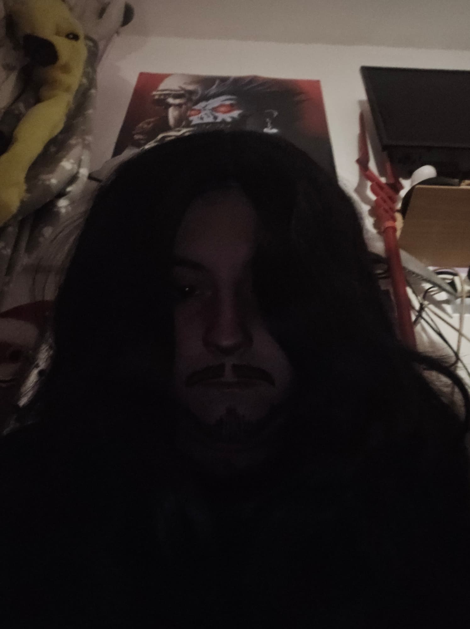 Alucard🦇🩸 - Photo 6