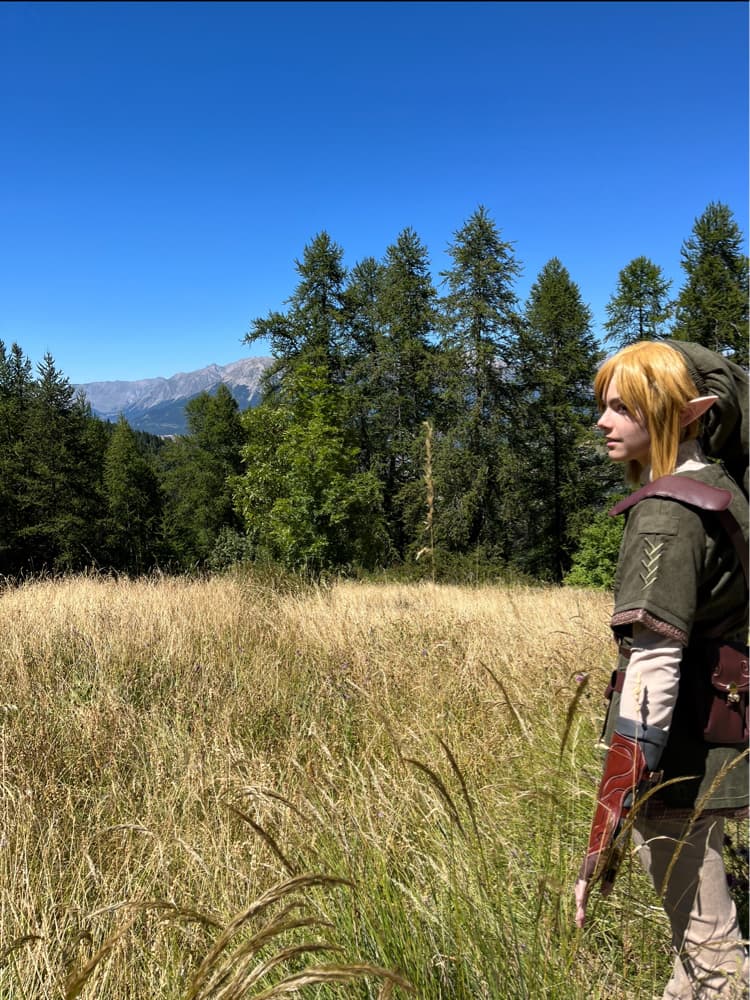 Link - Zelda TP - Photo 3