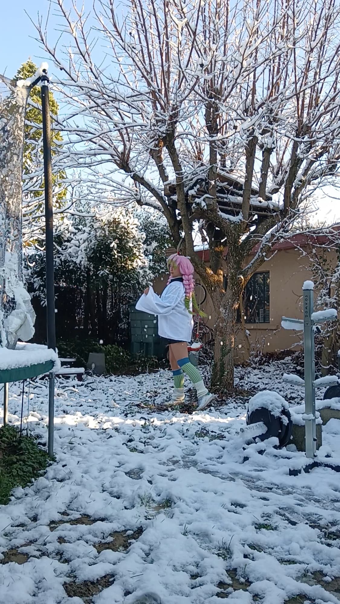 Mitsuri Kanroji - Photo 41