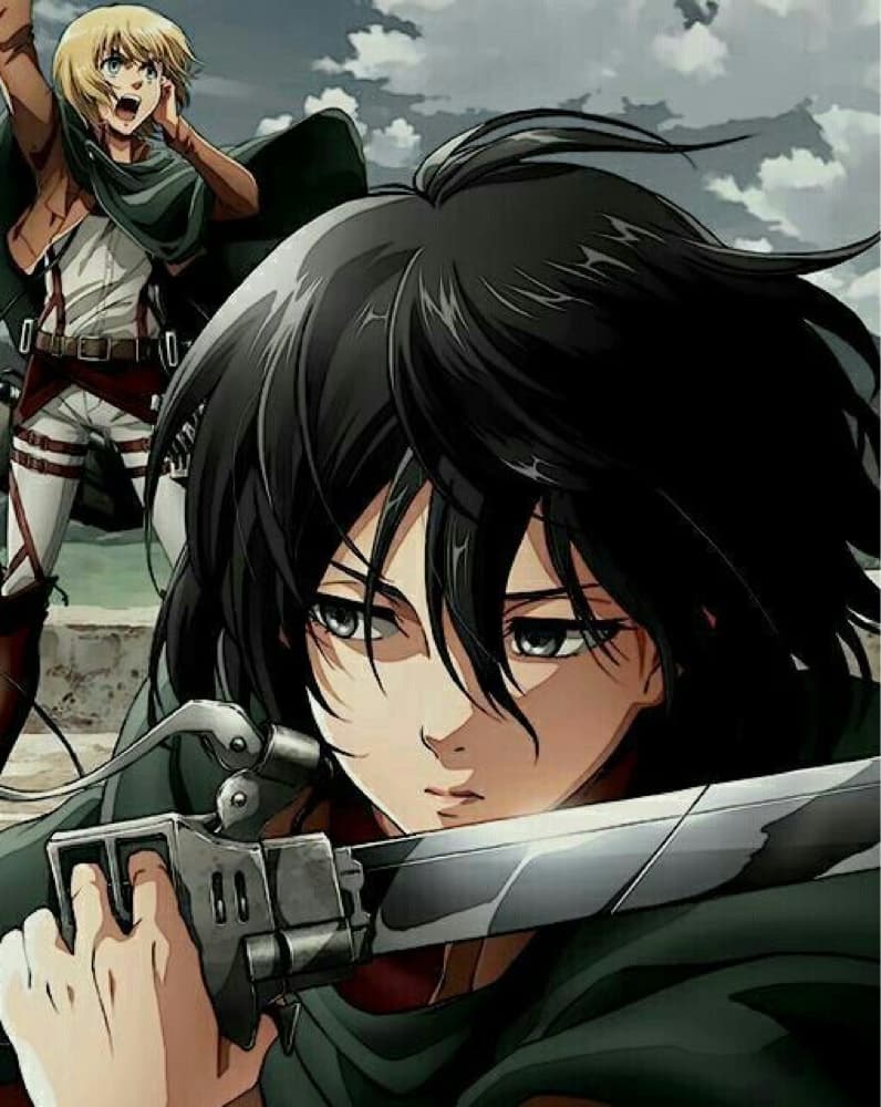 mikasa