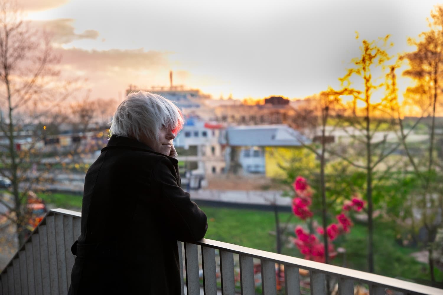 Shoto Todoroki  - Photo 5