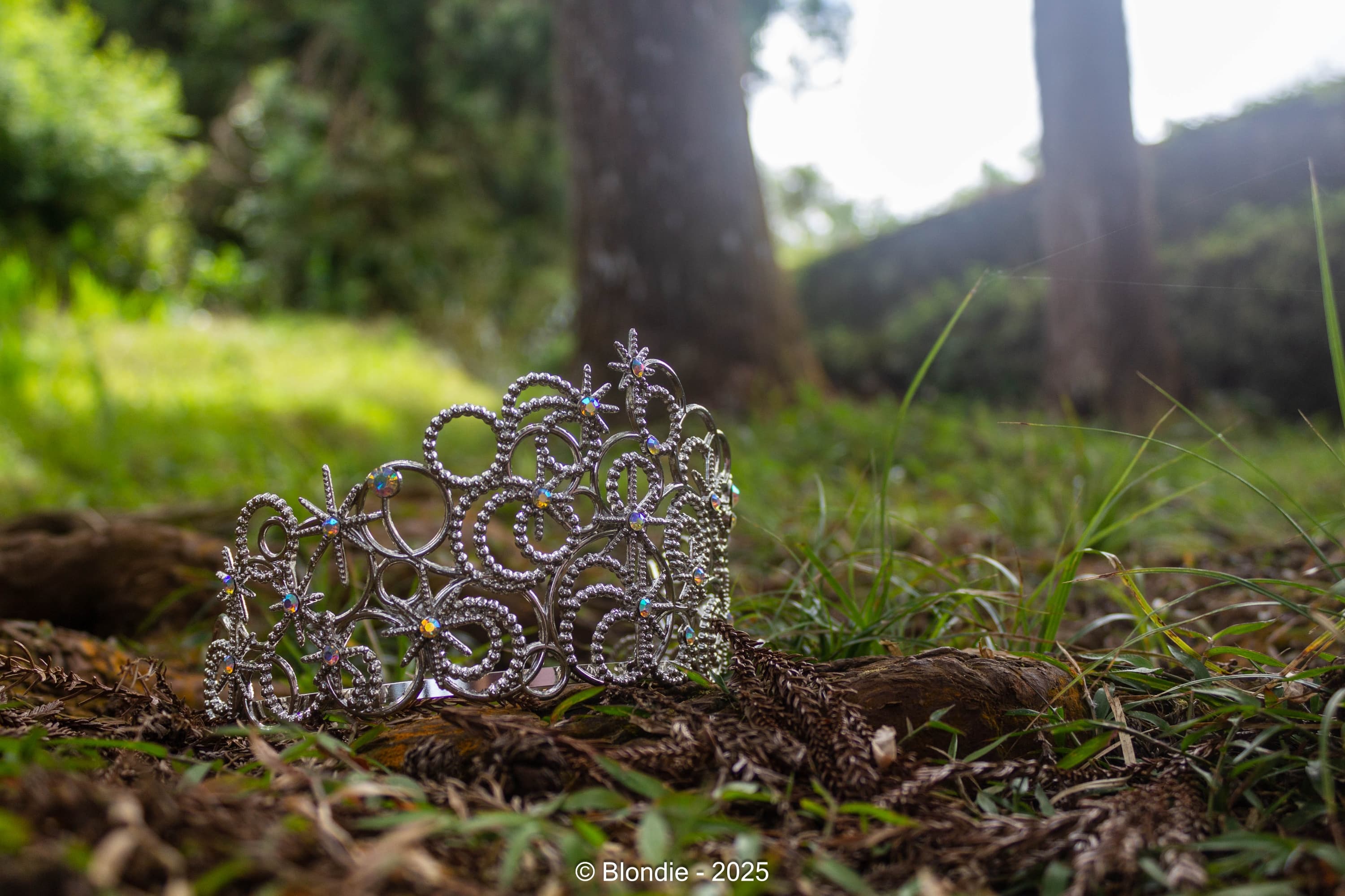 Elphaba & Glinda💚🩷 - Photo 11