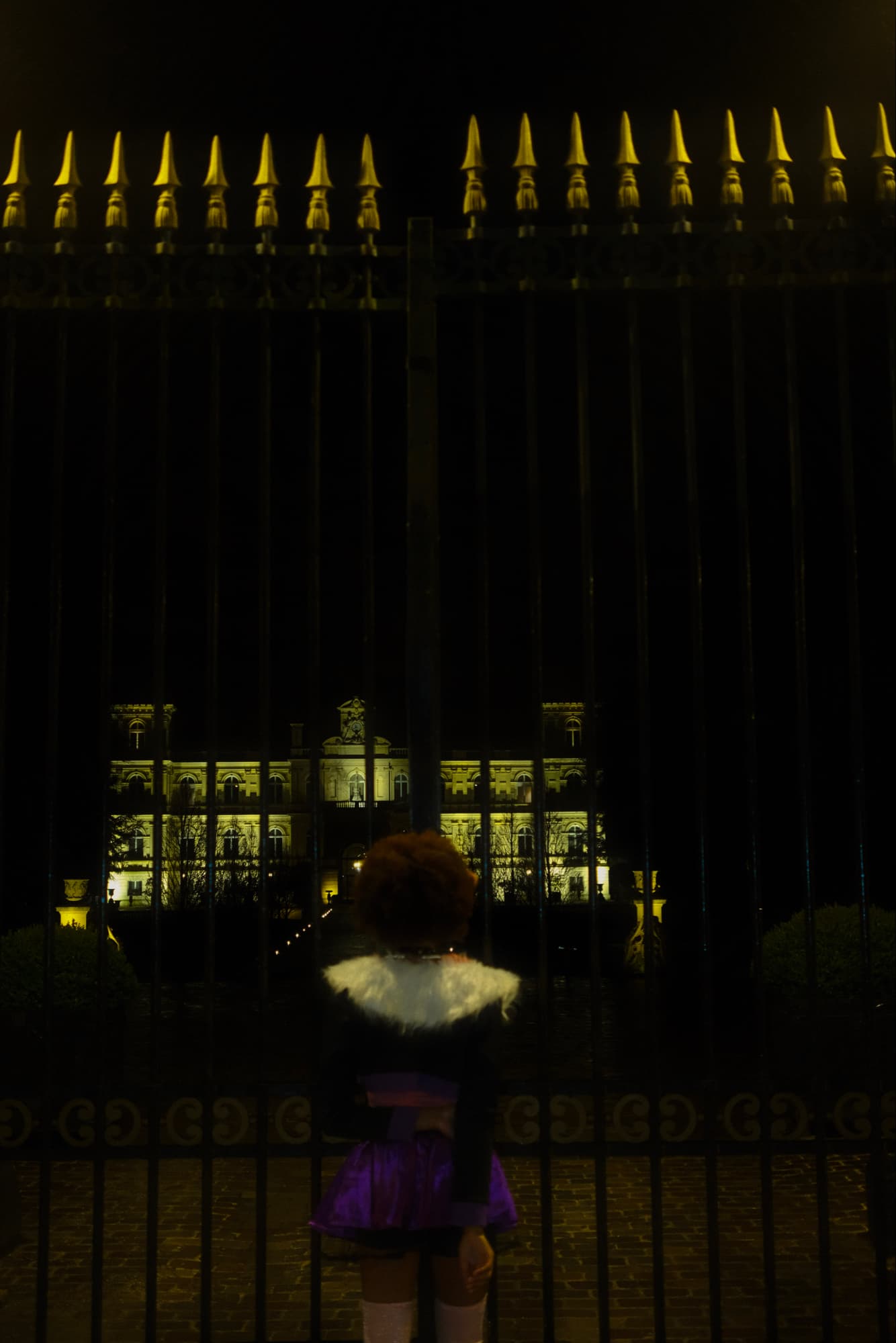 Clawdeen Afro v. - Photo 4