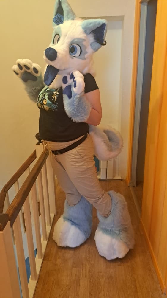 Titan refurb - Photo 2