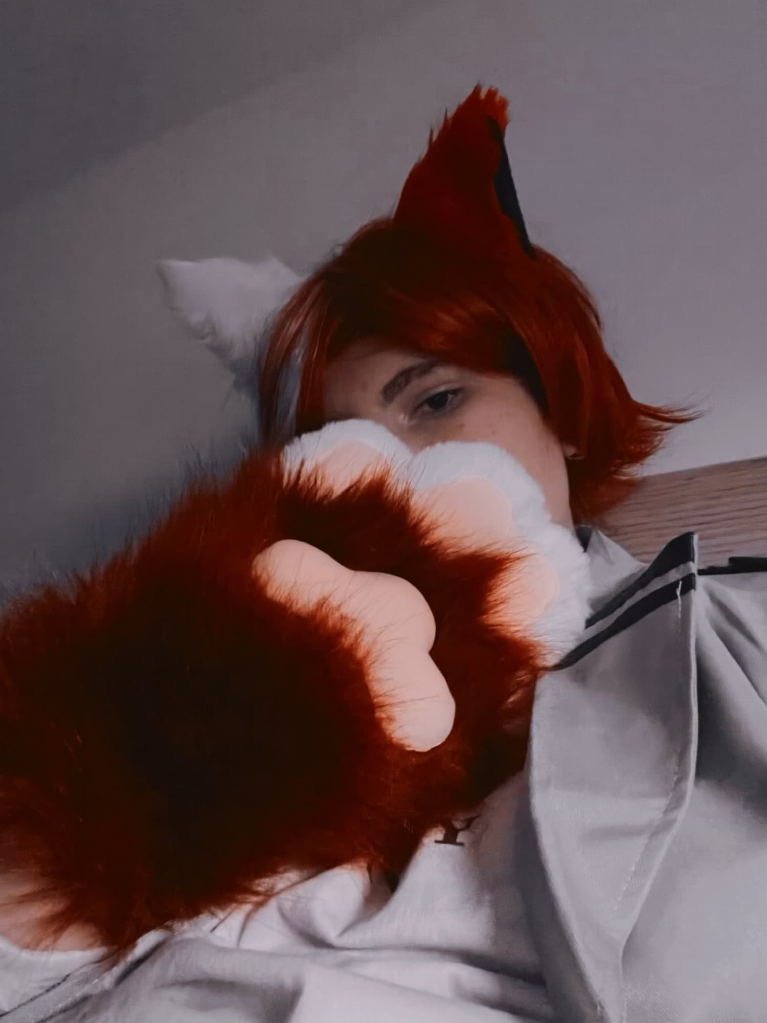 Shoto todoroki chat - Photo 1