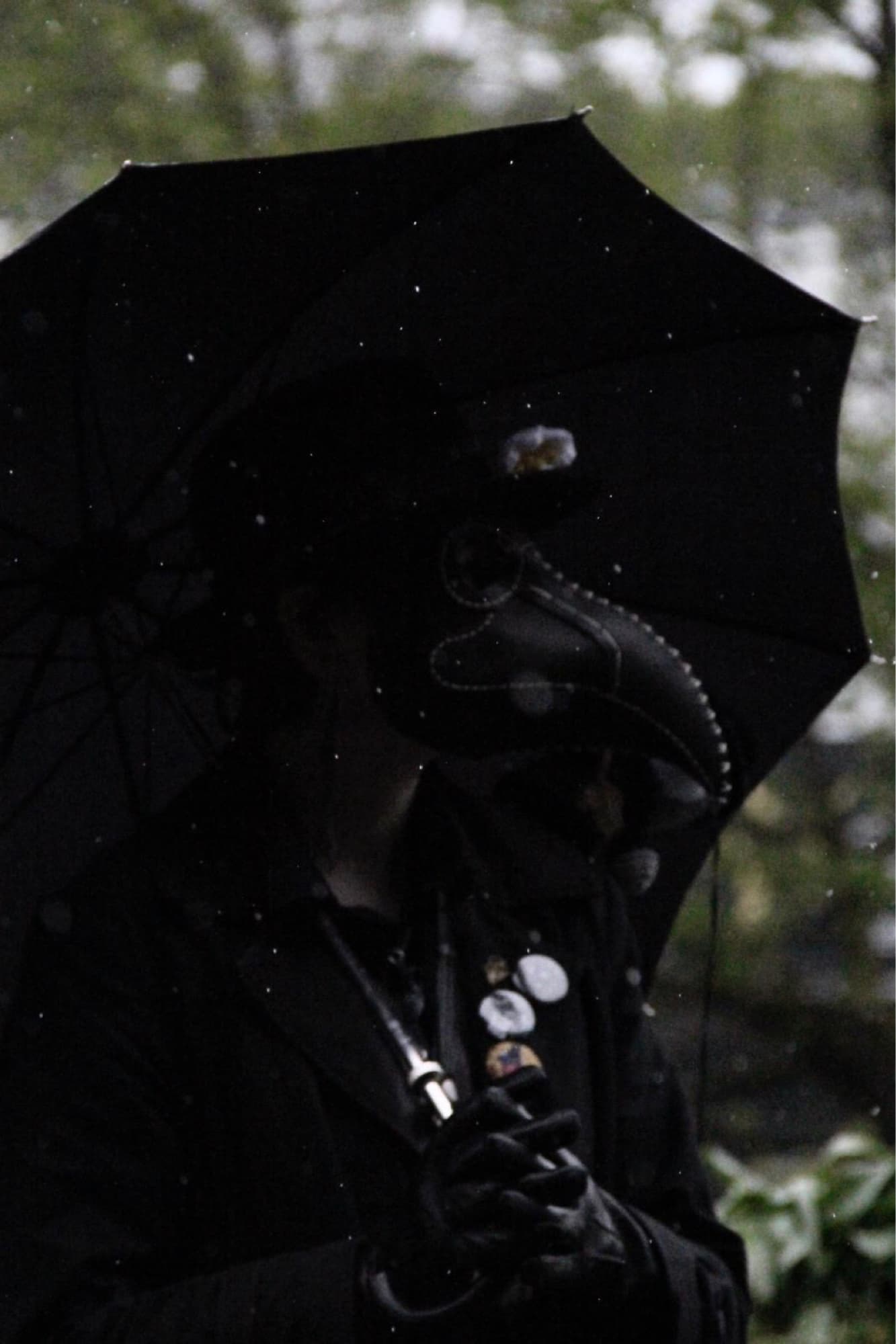 Pesty - polymanga  - Photo 3