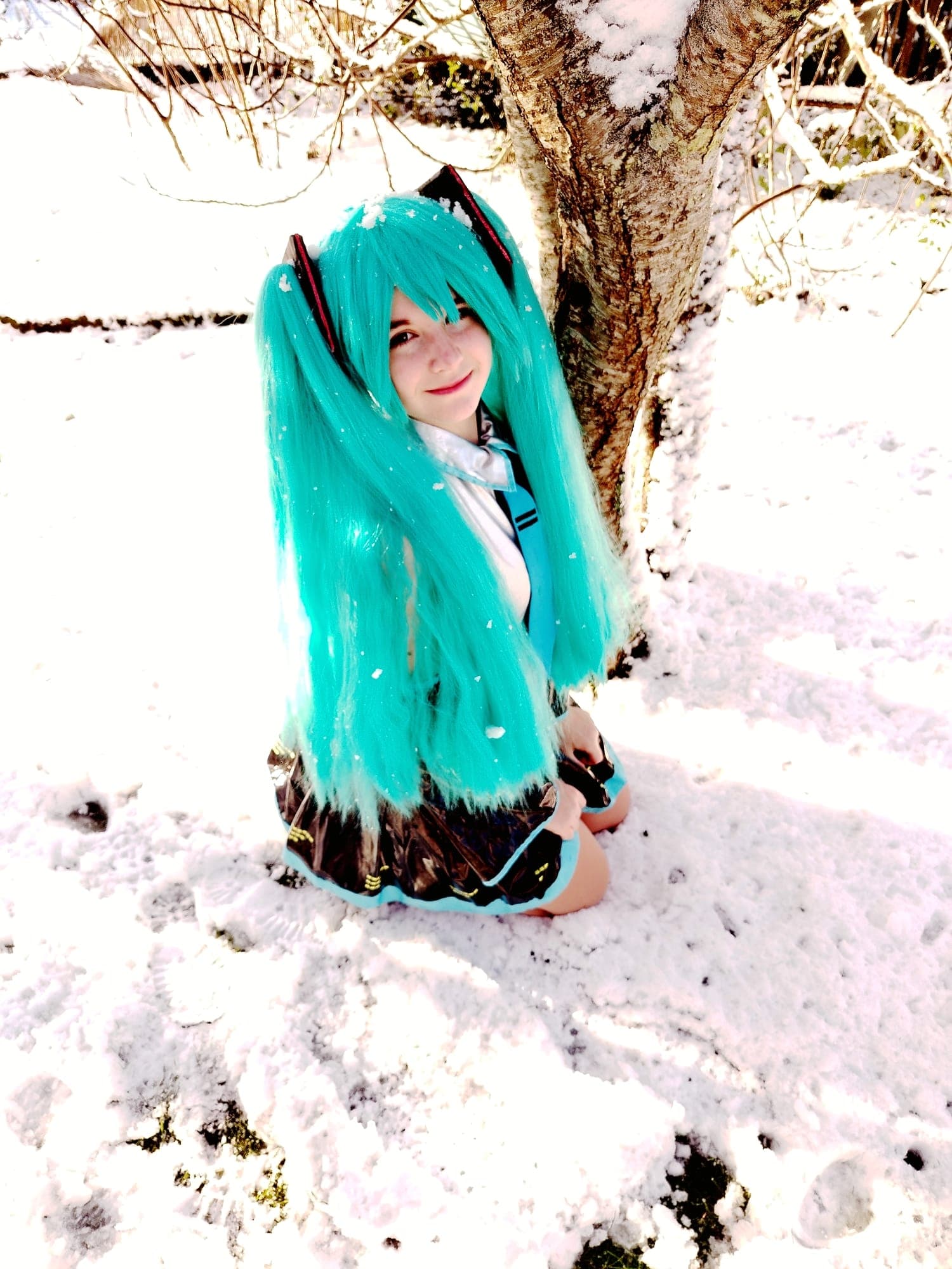 Hatsune Miku - Photo 4