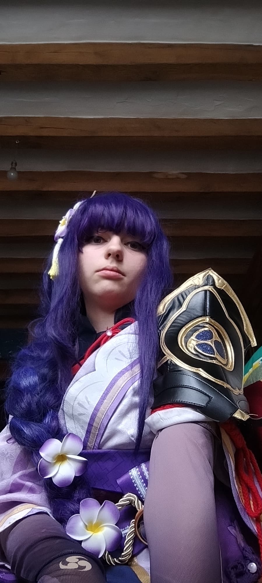 Raiden shogun  - Photo 13