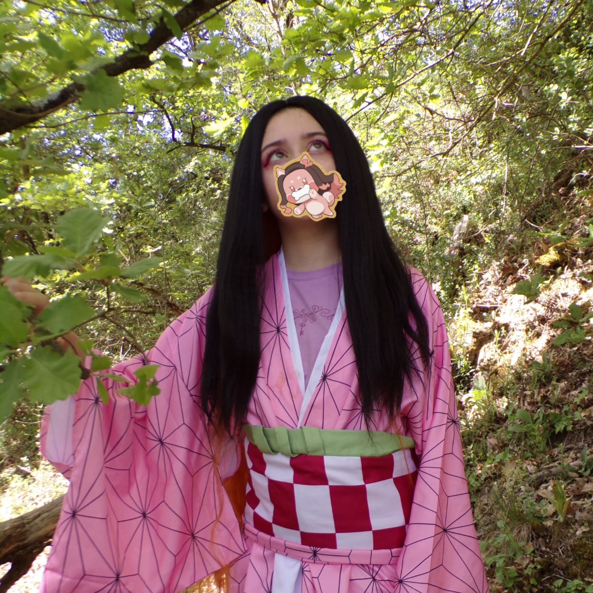 Nezuko - Photo 7