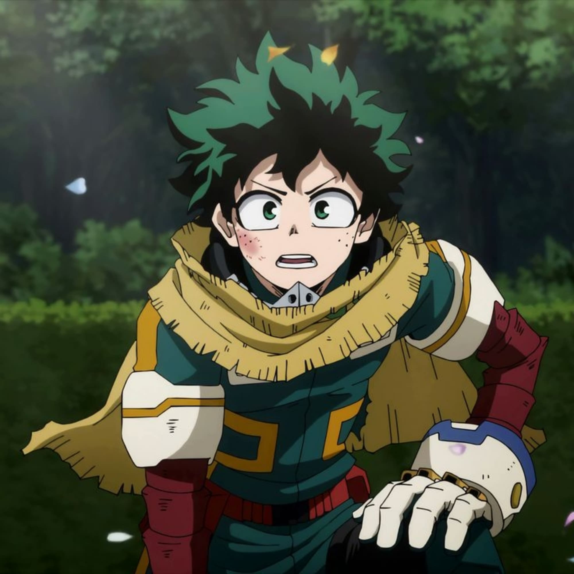 Deku hero 