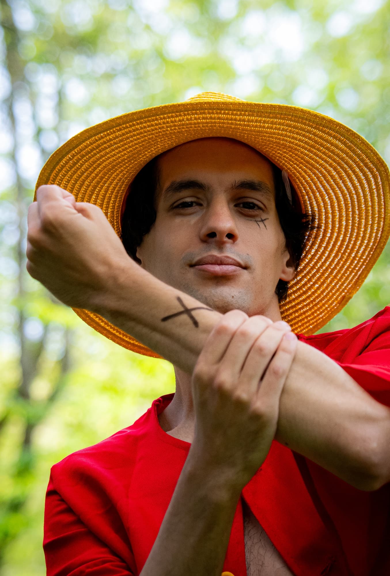 Monkey D Luffy - Photo 6