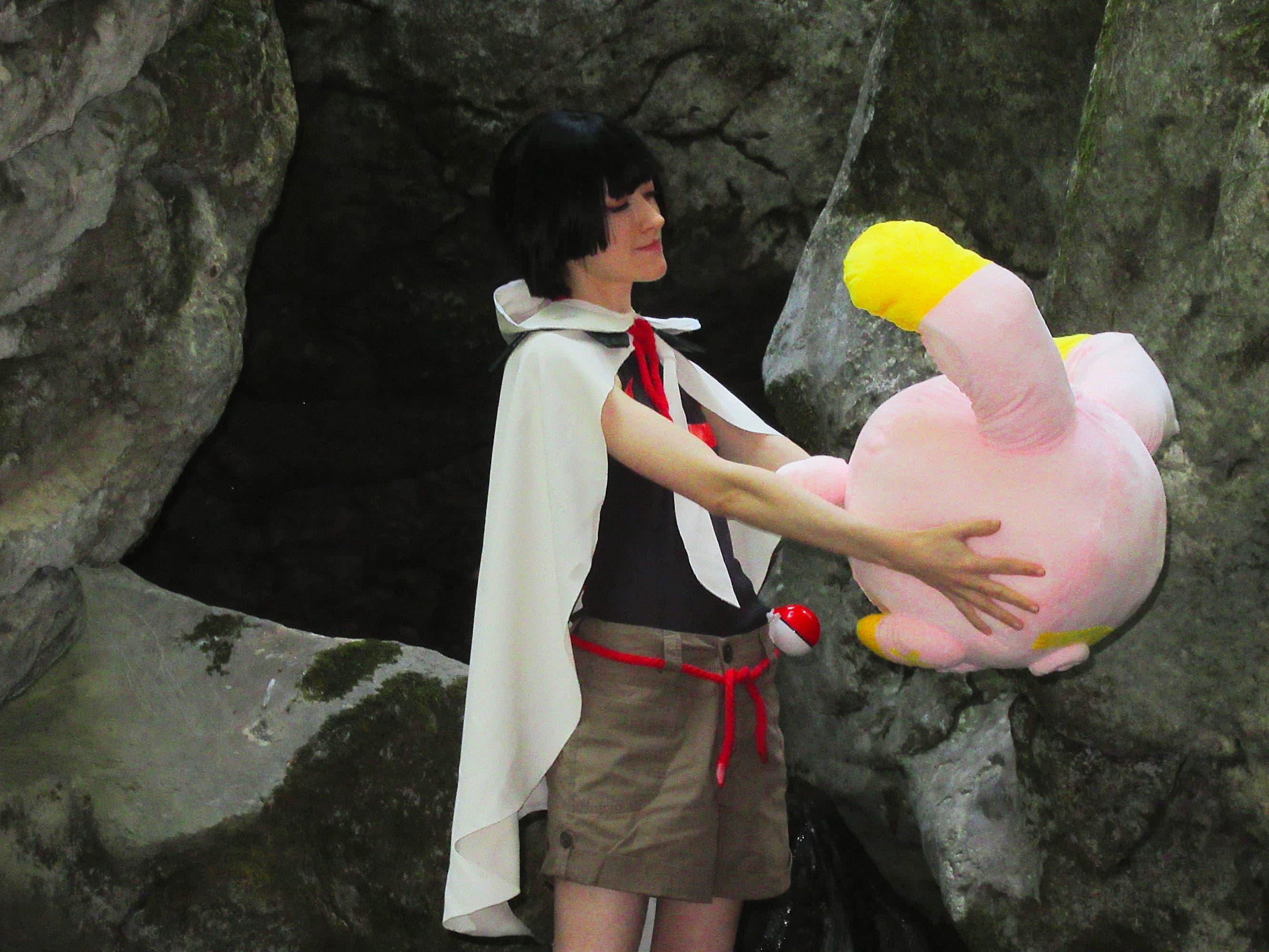 Amaryllis P2 - Photo 5