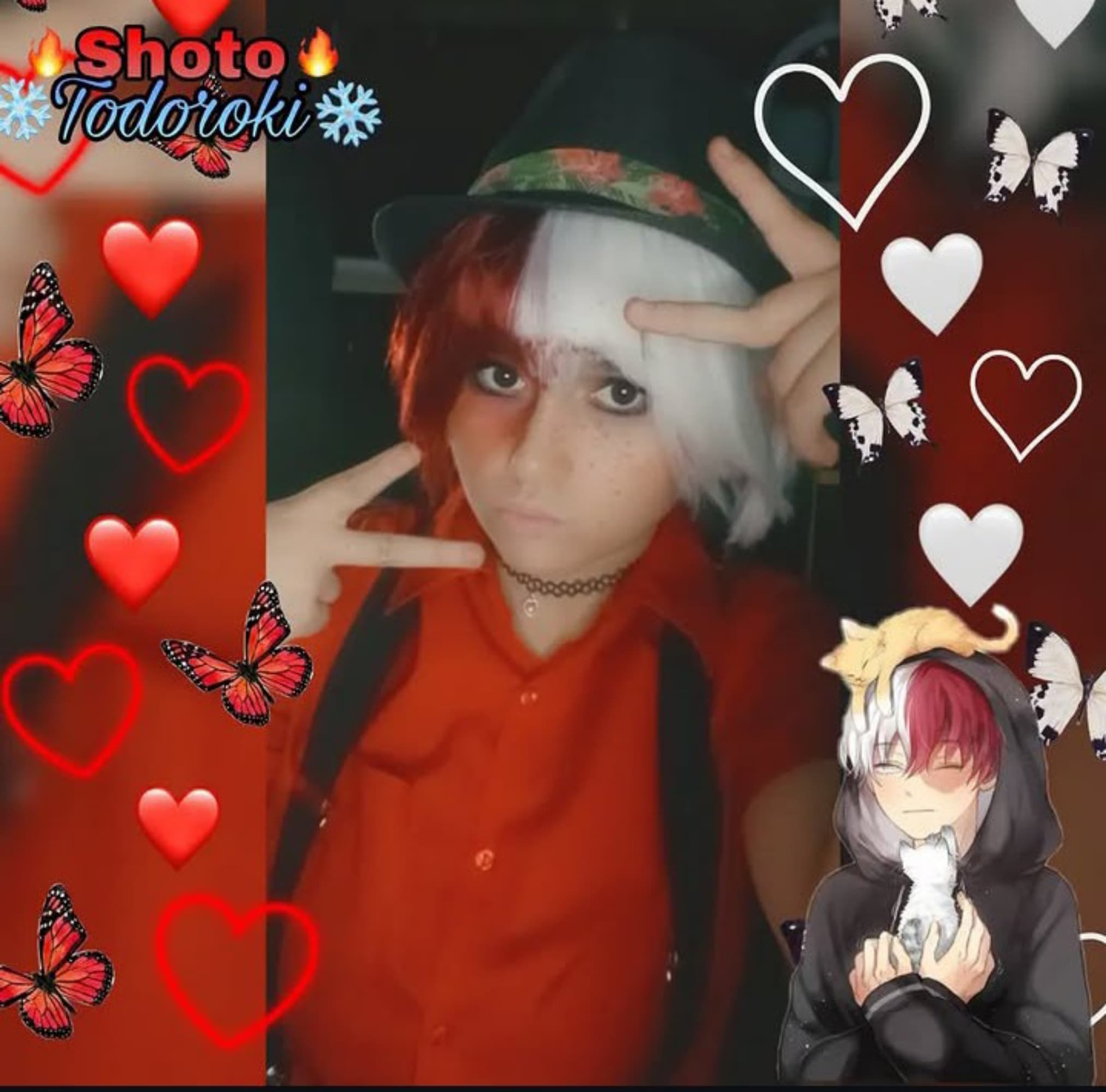 Shoto Todoroki  - Photo 6