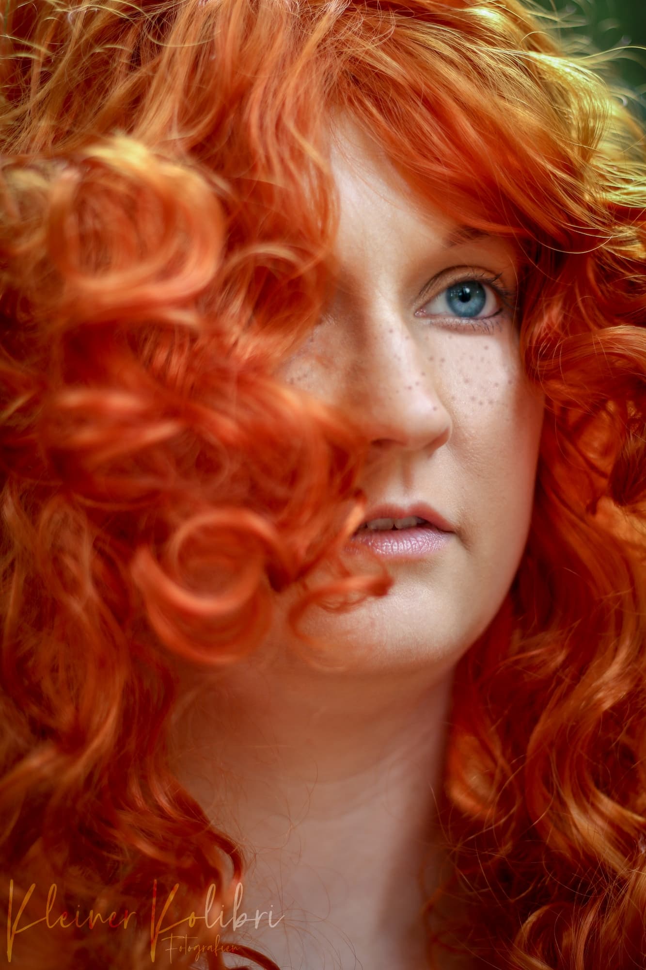 Merida (Disney) - Photo 28