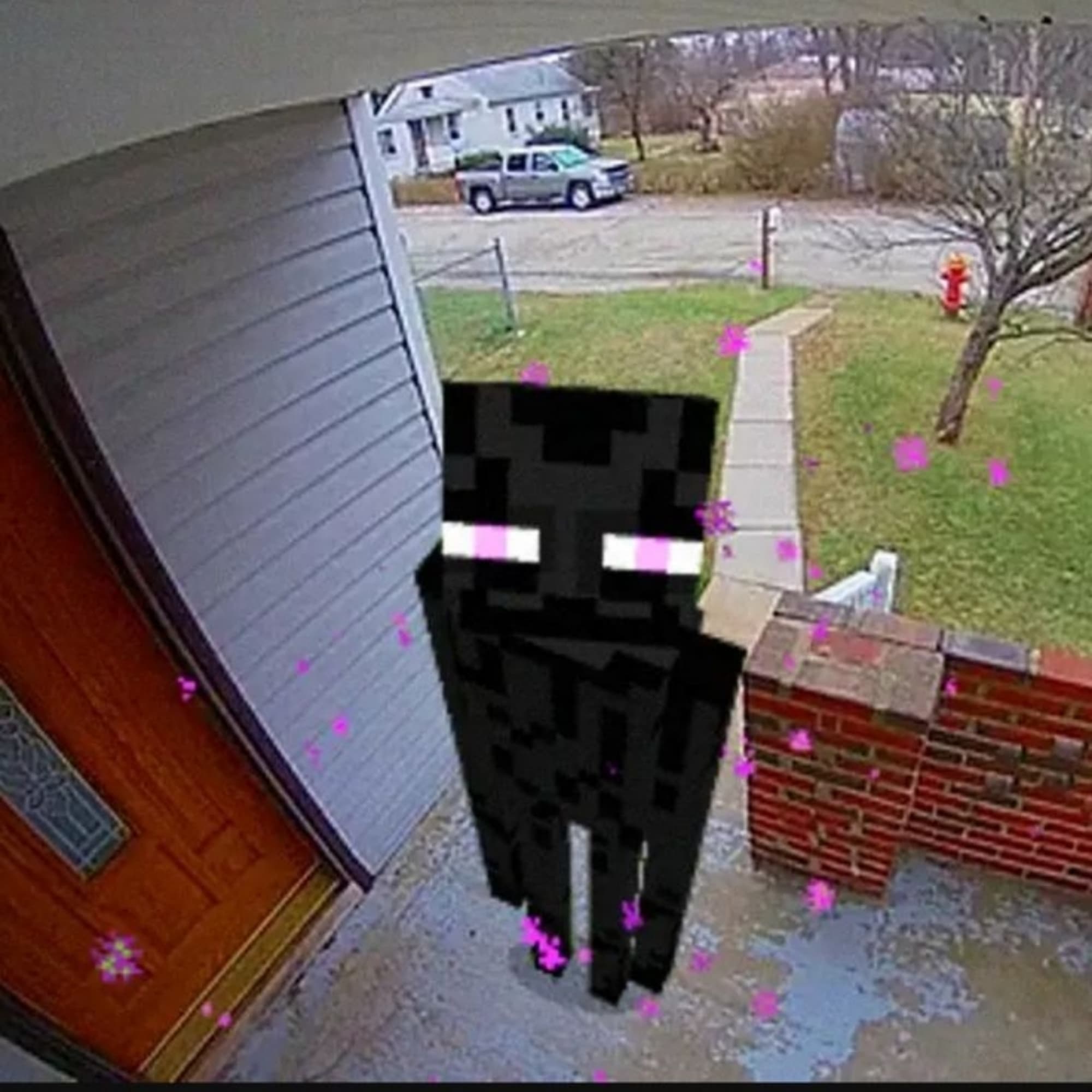 Enderman