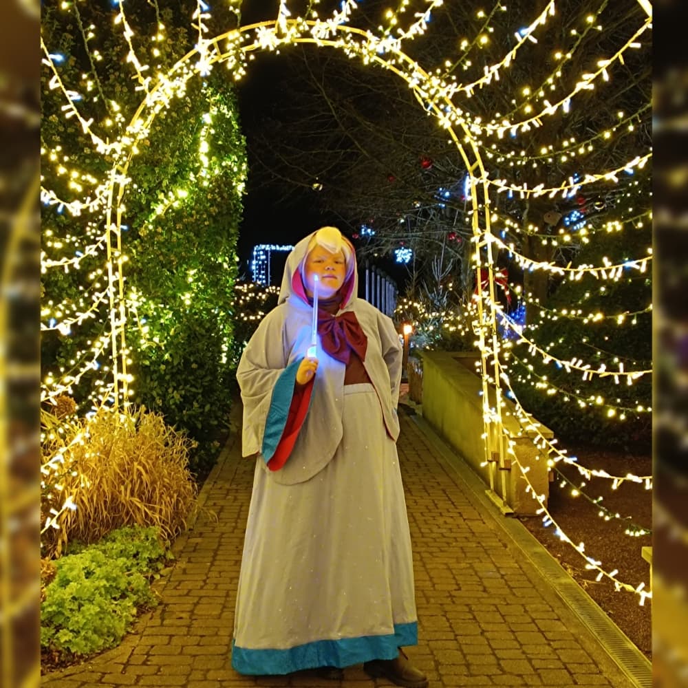 Bonne fée de Noël  - Photo 11