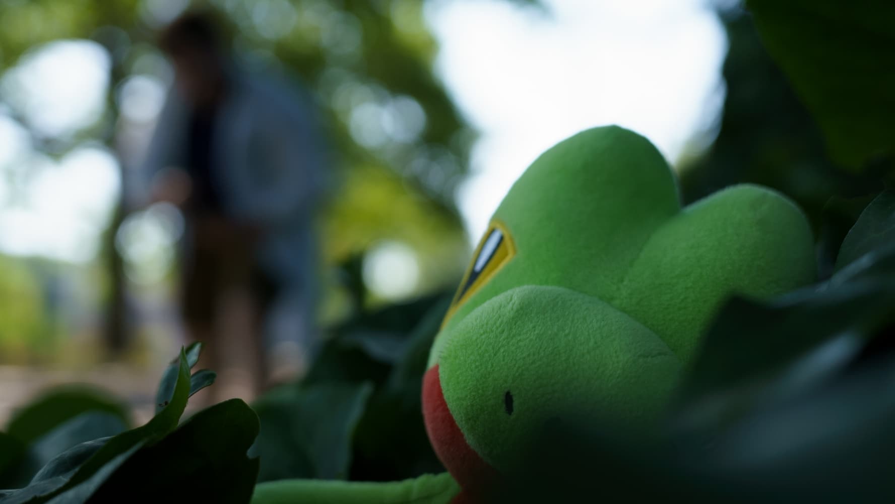 Prof seko - Photo 13