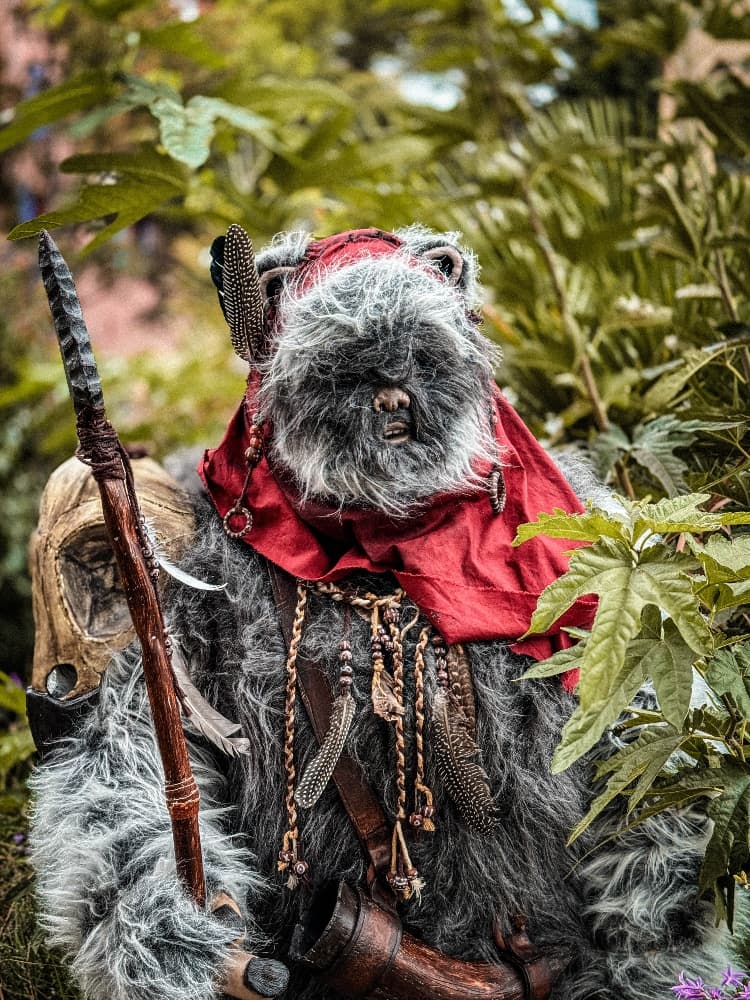 Un Ewok À Vitrolles - Photo 5