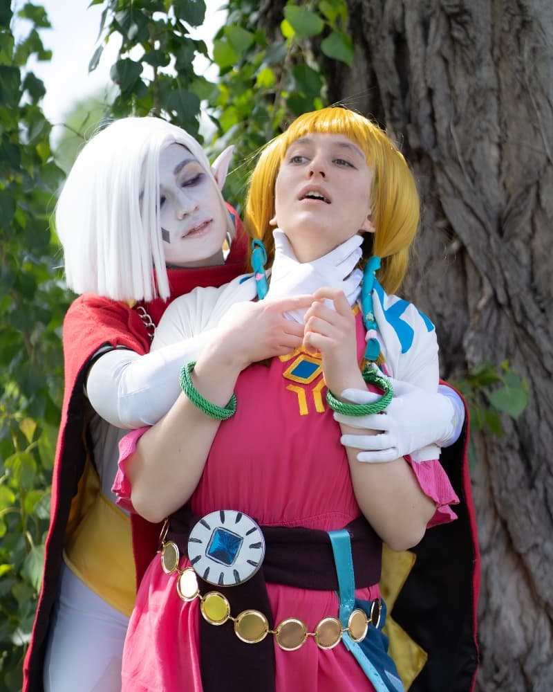 Skyward sword Zelda - Photo 1