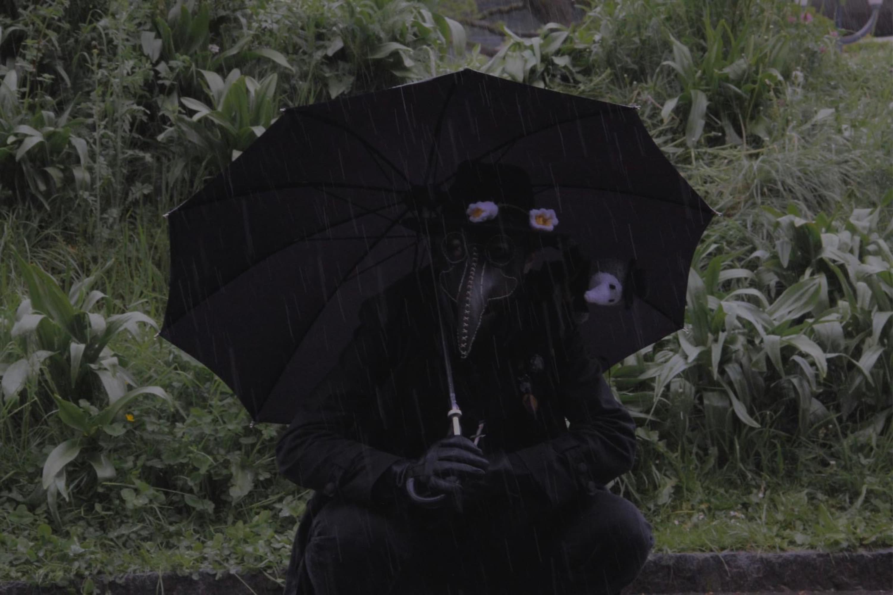 Pesty - polymanga  - Photo 8