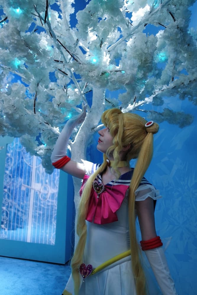 Sailor Moon - Photo 24