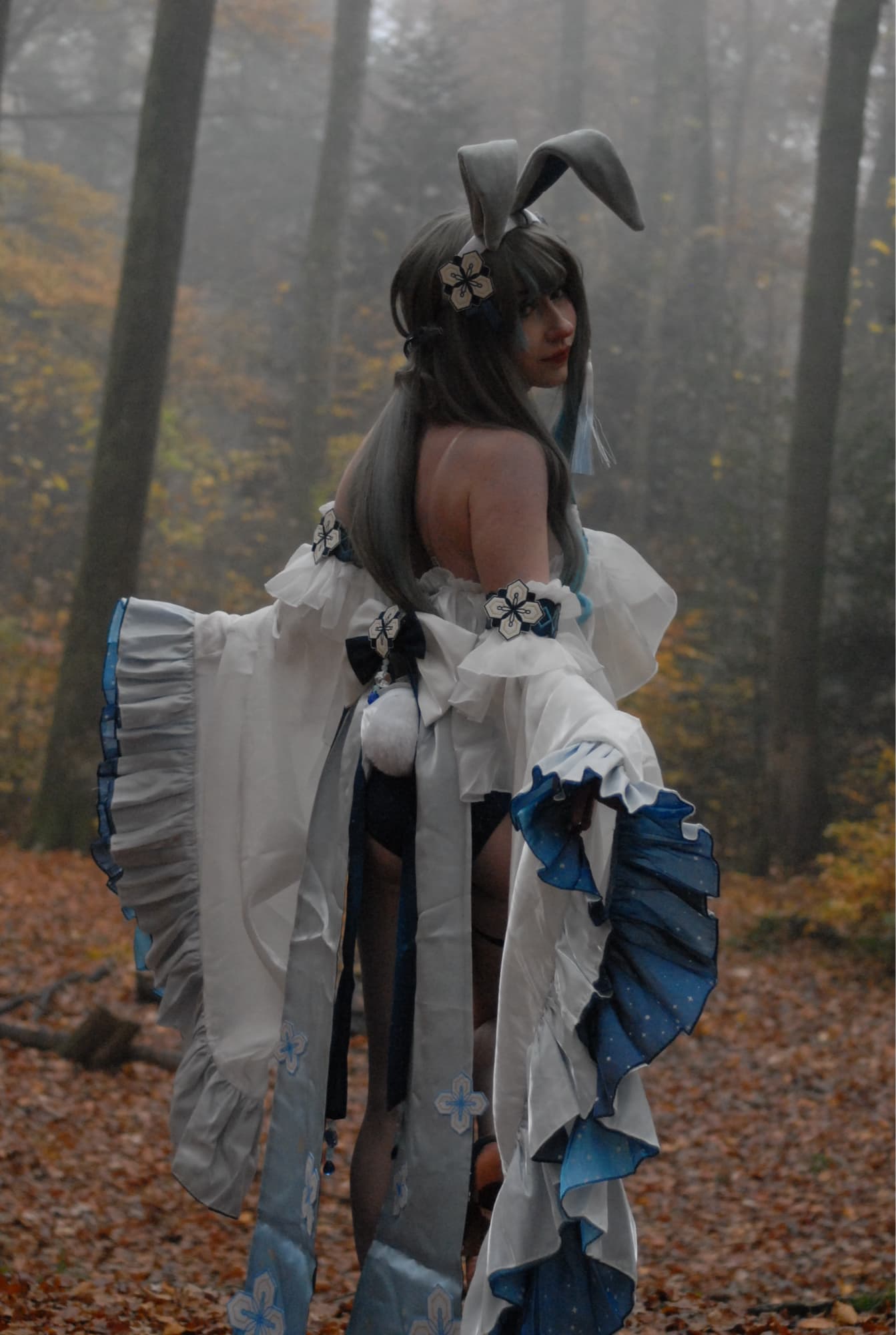 Guizhong Bunny - Photo 2