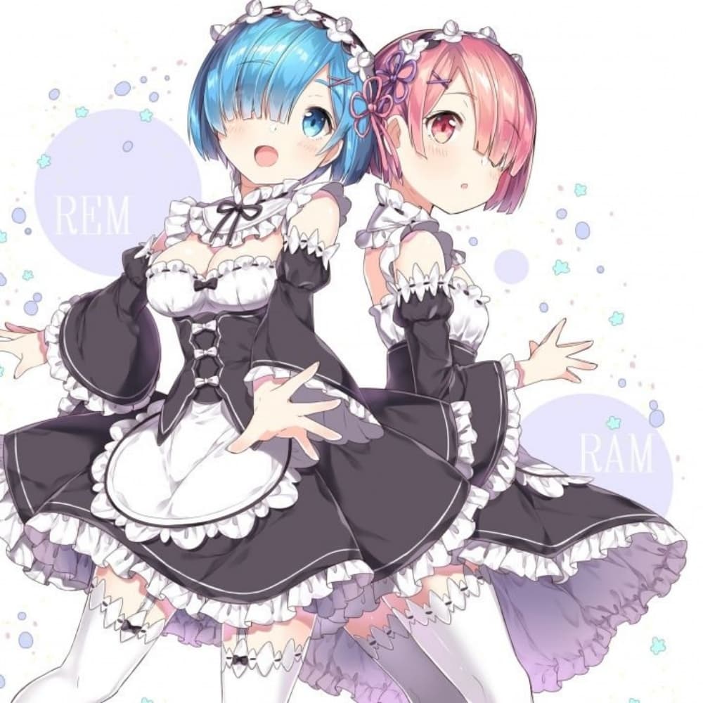 Ram/ Rem