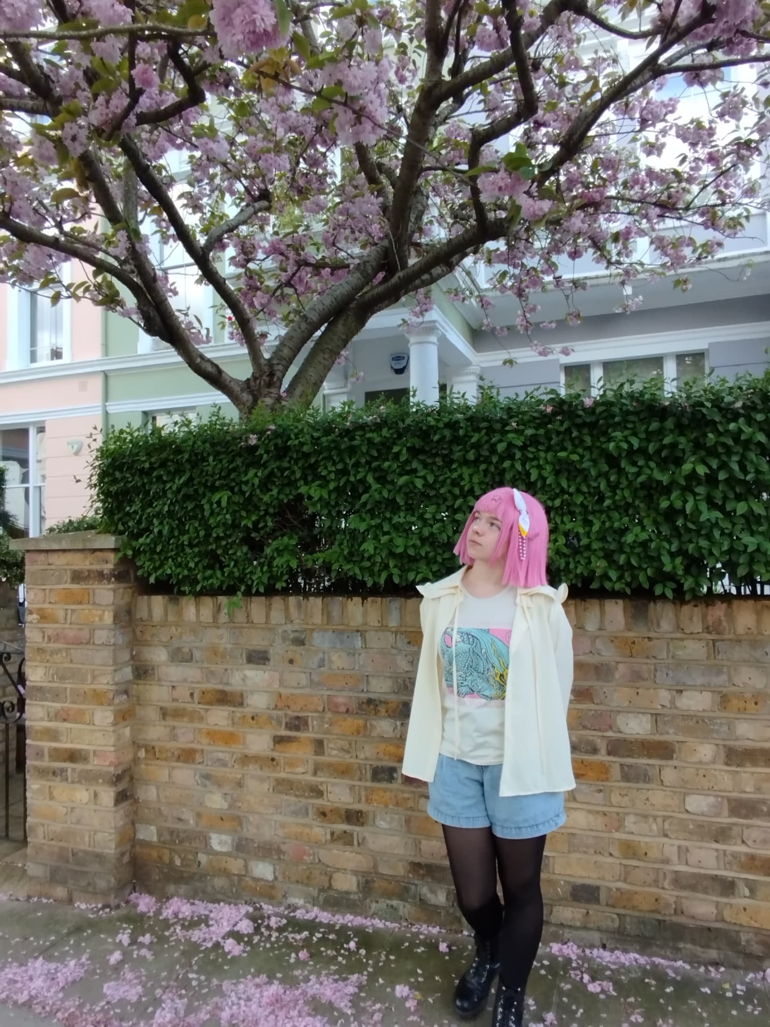 Emu 🩷🎉 - Photo 29