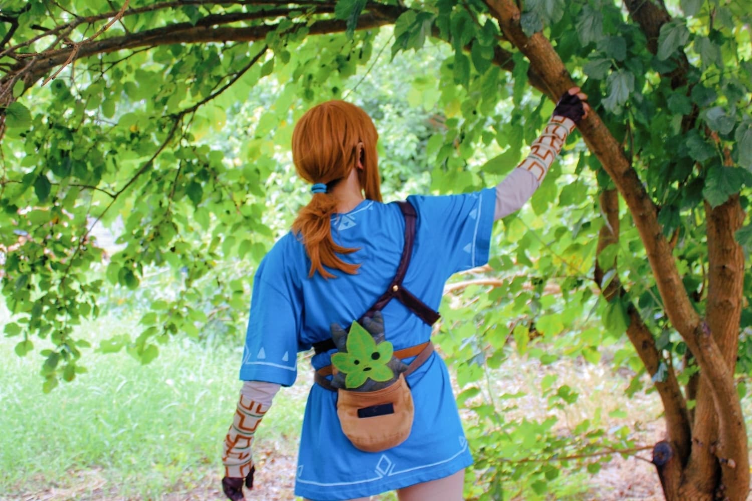 Link (Botw) - Photo 18