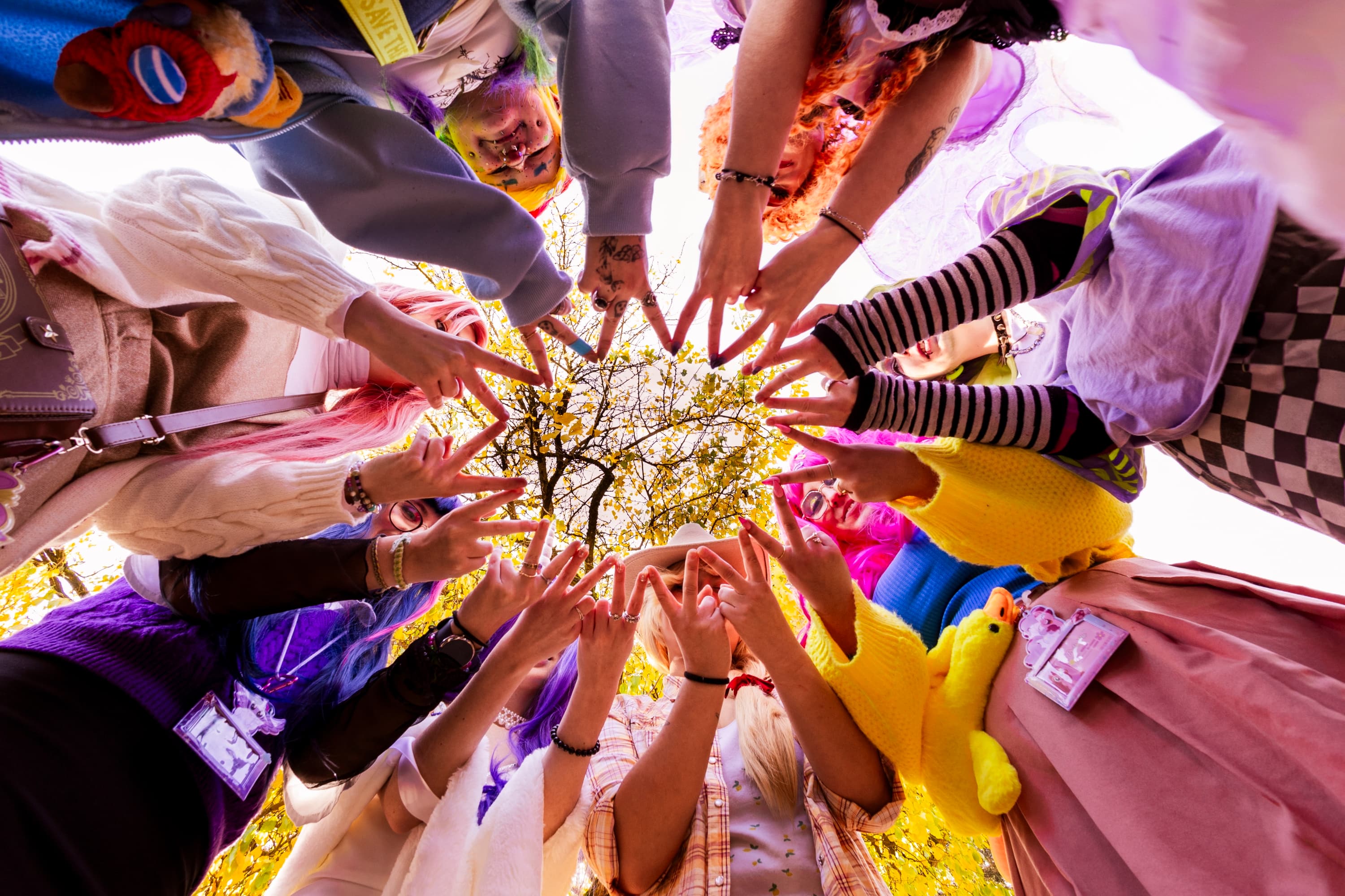 Shoot MLP - Photo 29