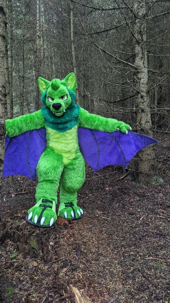 
A dark forest - Photo 3